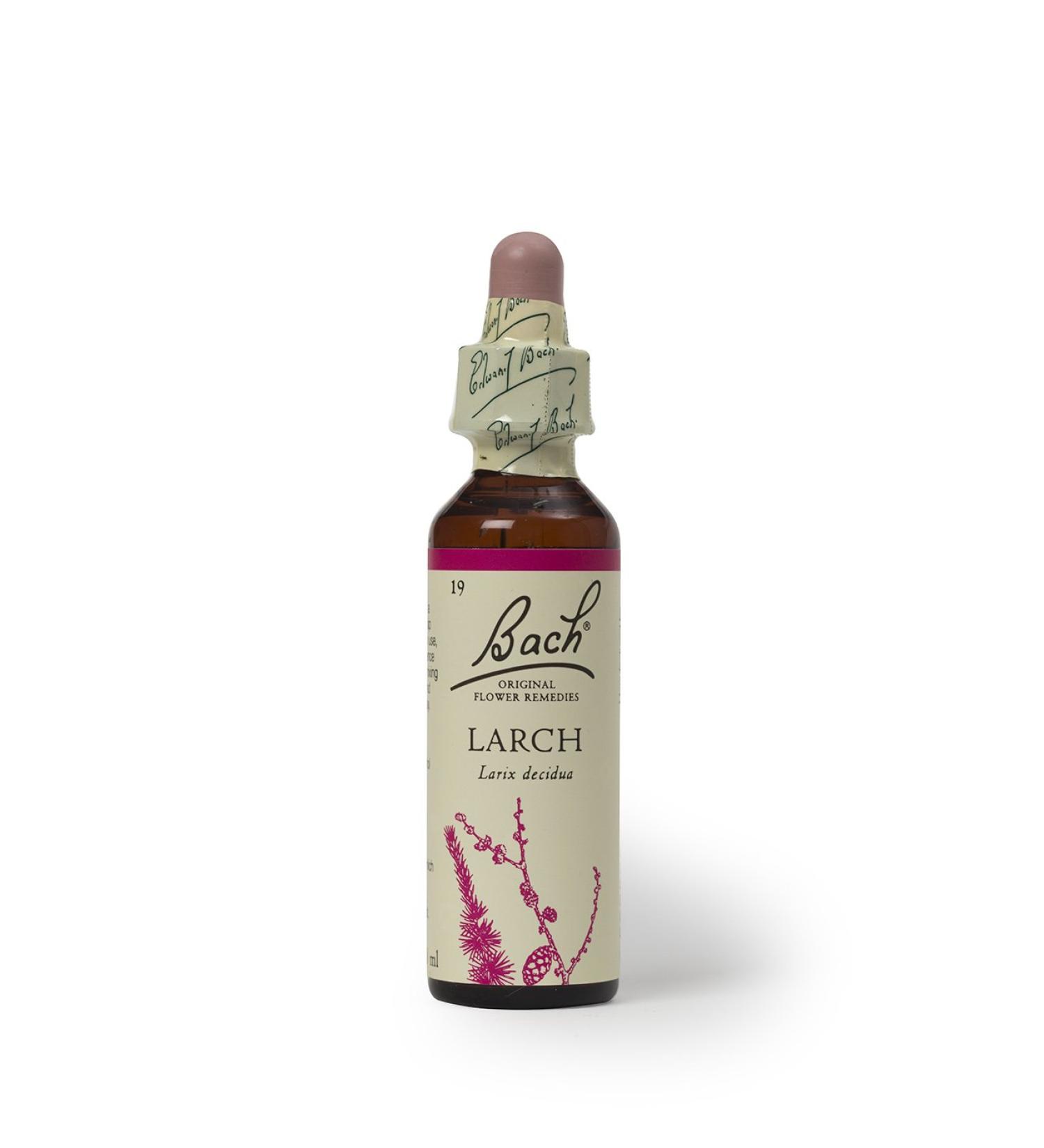 Bach Flower Remedies Larch 20ml - Natural Floral Essence for Confidence | Buy Online - Buy Online on GoSupps.com