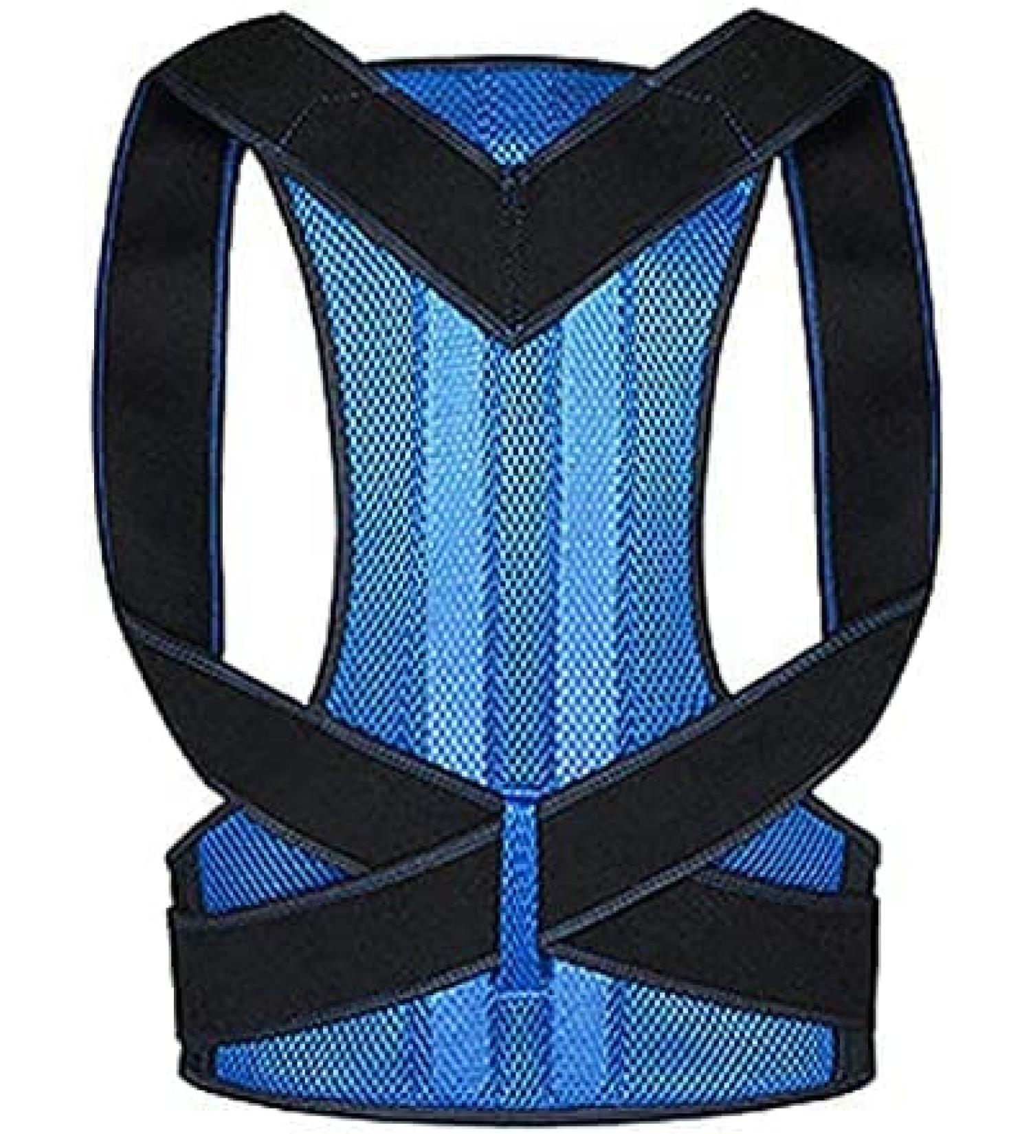 Back Posture Corrector For Women And Men Upgraded Posture Brace With 2 Supportive Bars And Comfy Underarm Pads Pain Relief Lumbar Support Shoulder Blue XL Blue XL - Buy Online on GoSupps.com