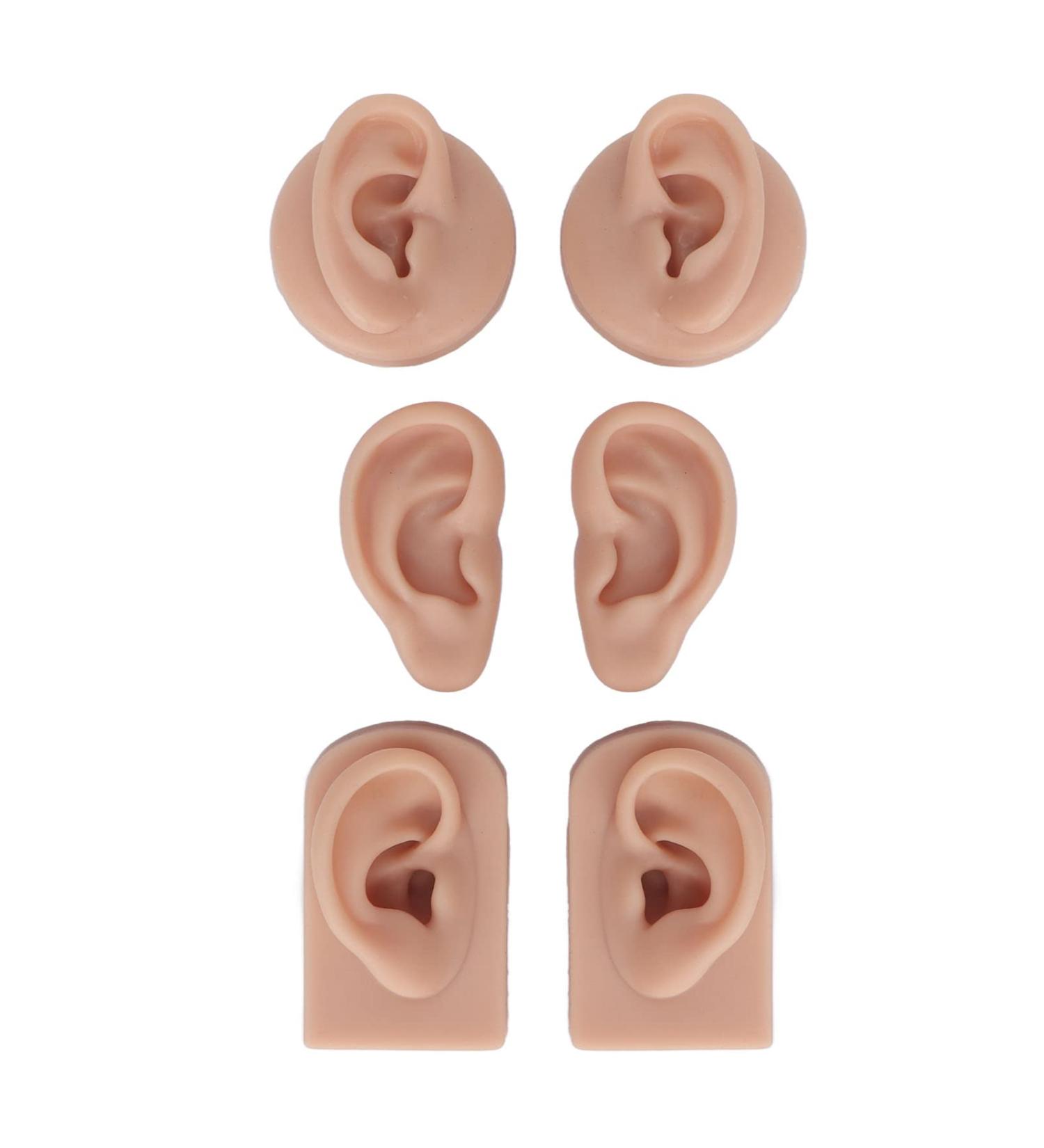 Realistic Silicone Ear Models - 3 Pairs for Jewelry Acupuncture & Teaching | Versatile Ear Training Tools - Buy Online on GoSupps.com