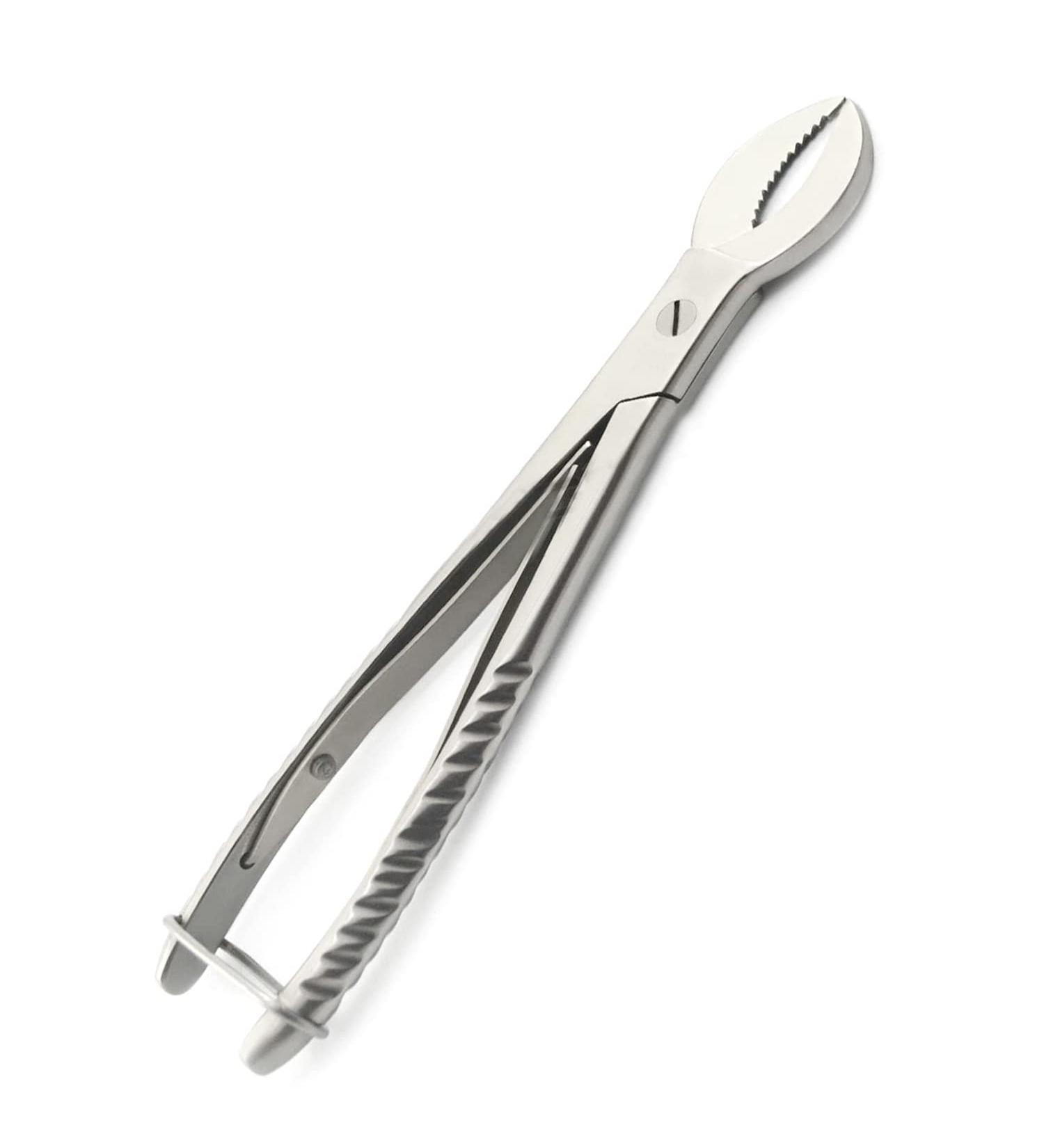 Cow Horn Plaster Nipper Surgicl Dental Instruments