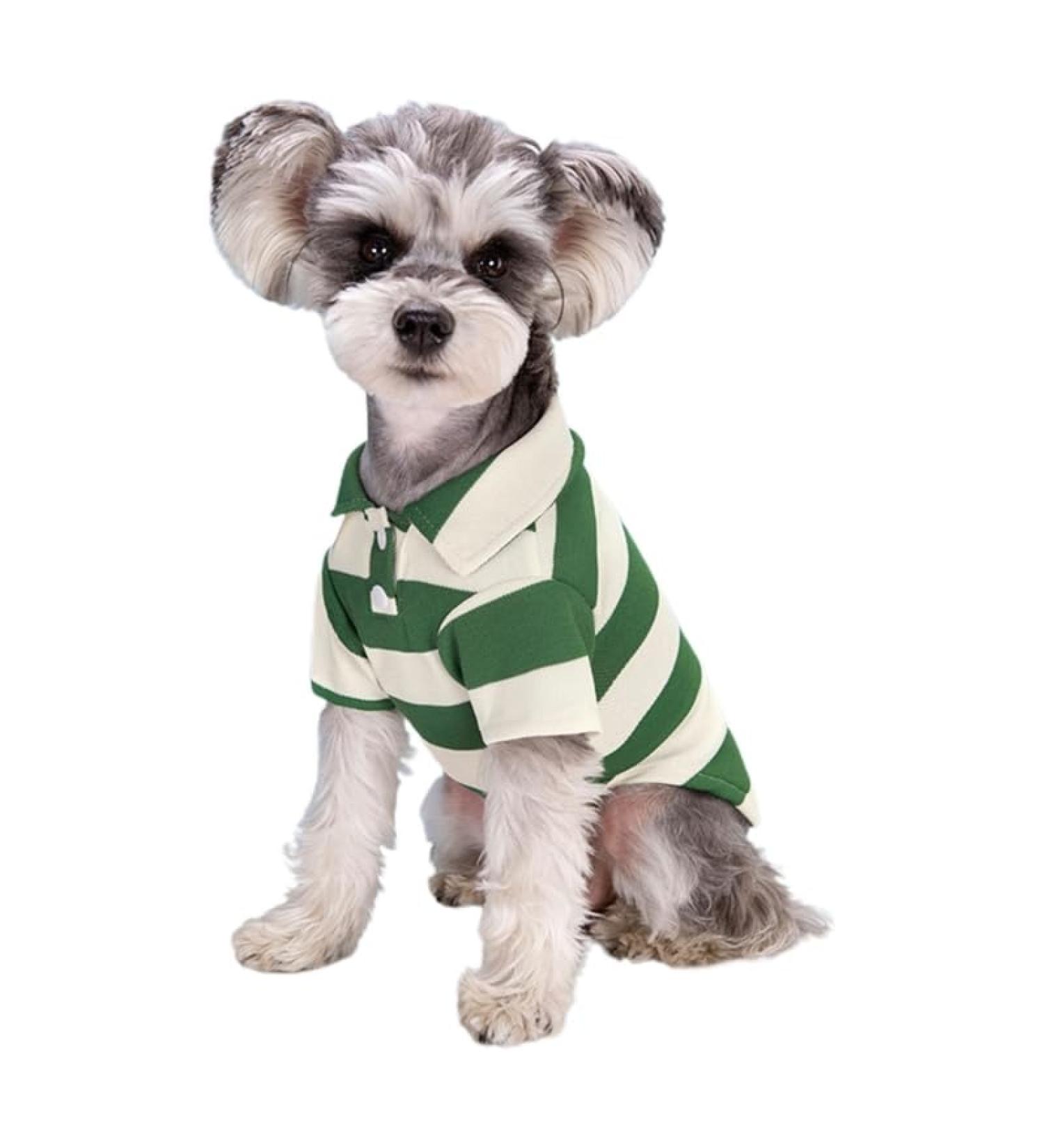 Stylish Striped Polo Shirt for Small Dogs | Summer Puppy Costume - Breathable Green Tee for Bichon & French Bulldog - Buy Online on GoSupps.com
