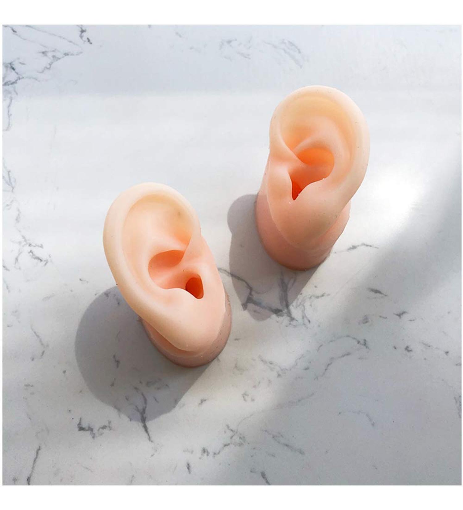 Silicone Ear Model for Acupuncture - Artificial Ear Model with Stand - Soft Silicone Ear Model for Teaching for Ear Picking Practice Studs Earring Display Props - Buy Online on GoSupps.com