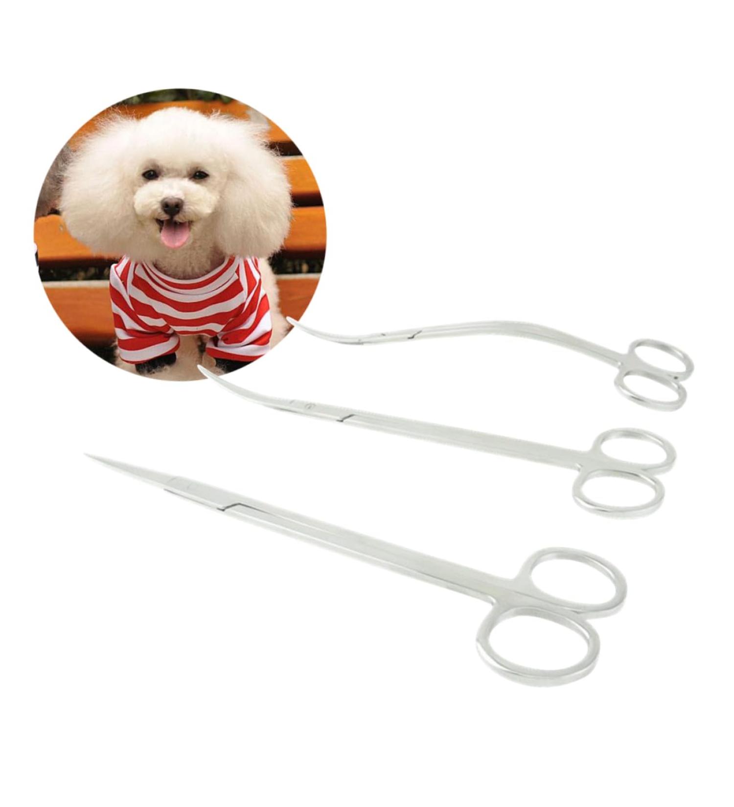 Mipcase 3pcs Plant Scissors Set | Fabric Onion & Aquarium Cutting Scissors | Straight Cut Medium Silver Tools for Gardening & Home Use - Buy Online on GoSupps.com