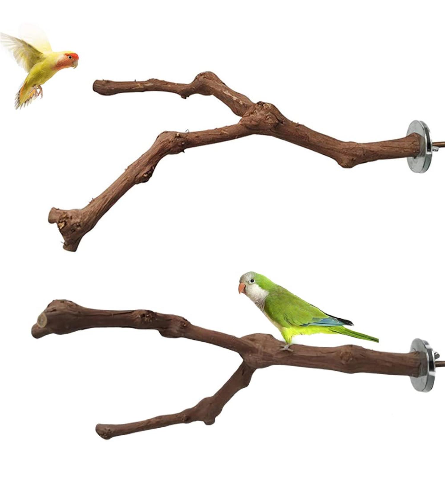 Natural Wood Bird Seat Rods Set - 2 Grapewood Pencil Rods for Budgies & Canaries | Premium Bird Cage Accessories - Buy Online on GoSupps.com