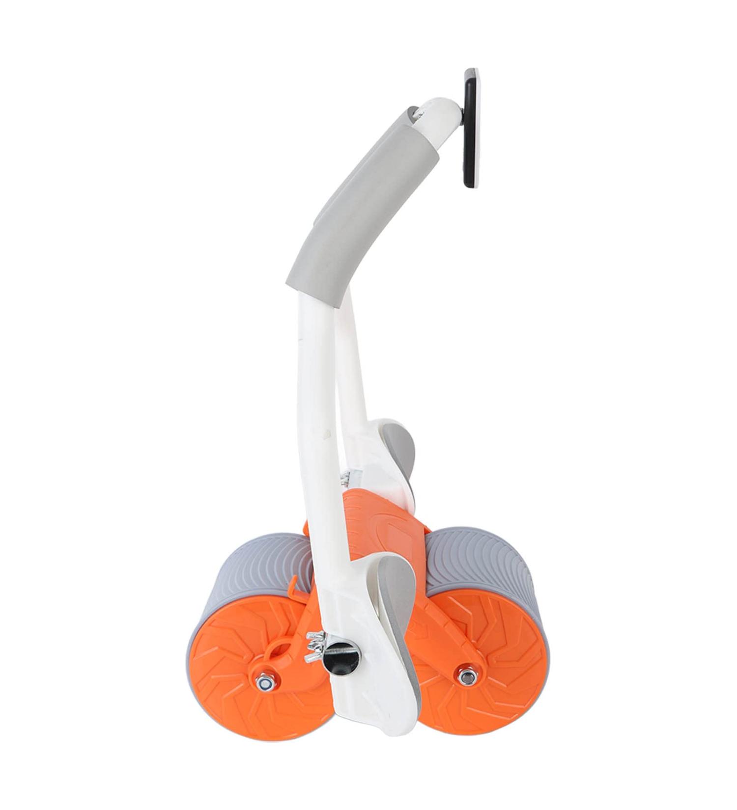 Yinhing Multifunctional Fitness Core Board Trainer for Full-Body Workout Ideal for Both Men and Women - Buy Online on GoSupps.com