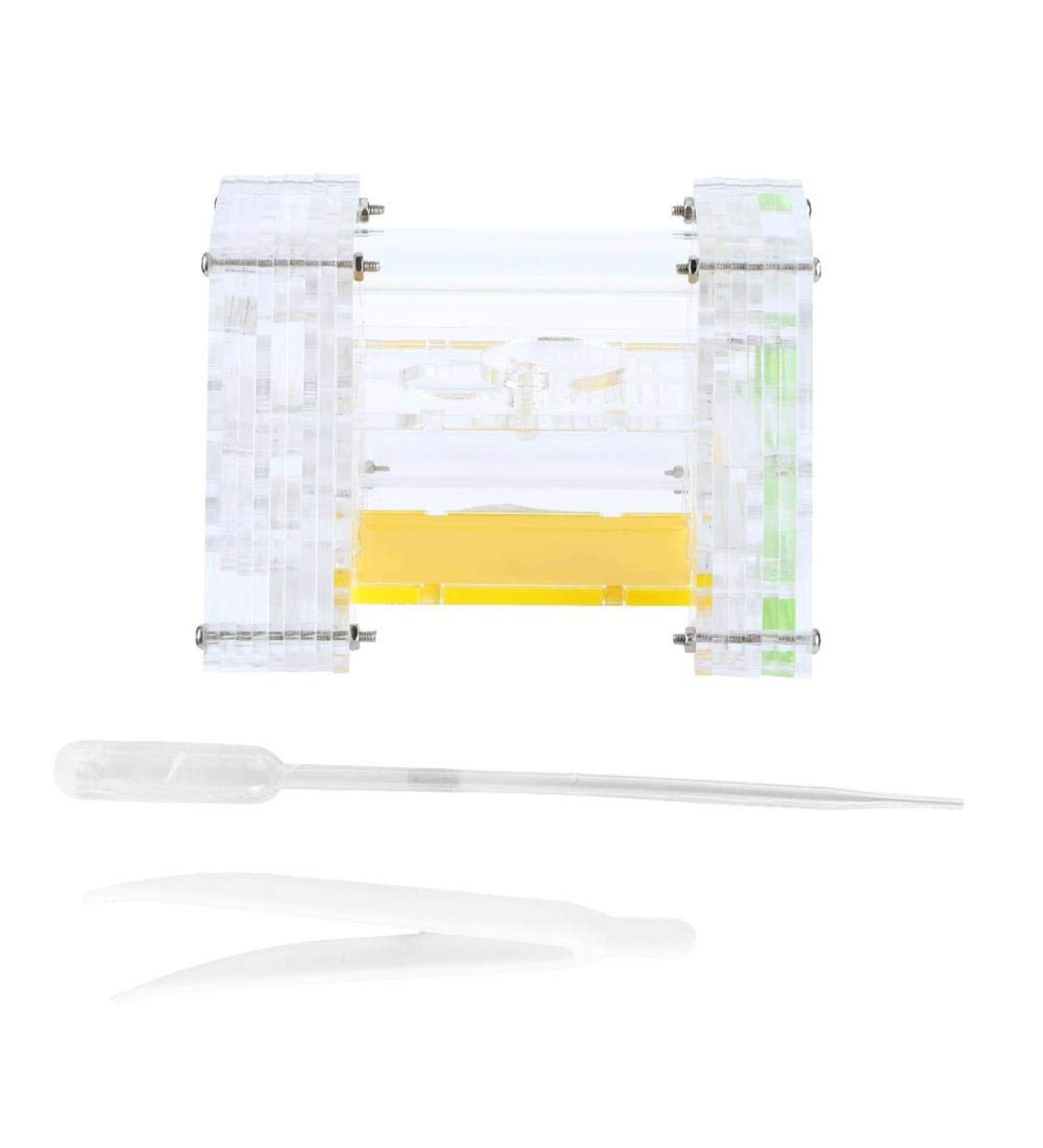 Ant Feeding Box Acrylic Transparent Ant Living Nest Ant Housing Nest Box Farm Insect Moisturizing Case Housing Home With Tweezers and Dropper - Buy Online on GoSupps.com
