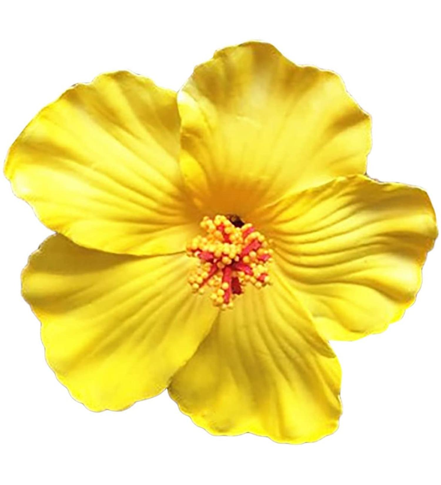 Flower Hairpin Flower Brooch Rose Hair Barrette Accessories for Women s Party Beach Wedding (Yellow) Metal other gemstones - Buy Online on GoSupps.com