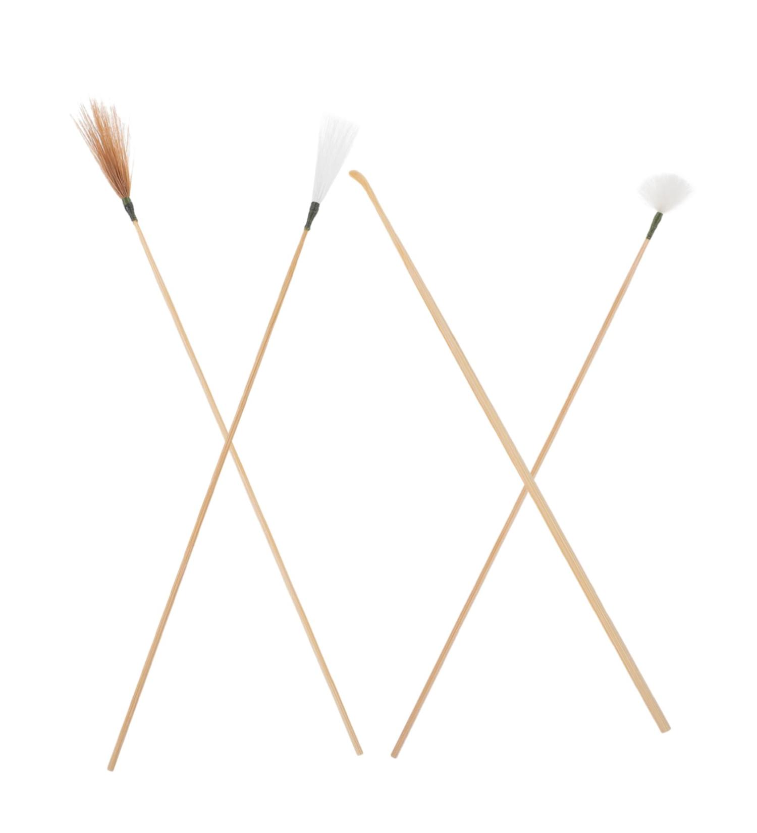 Anneome Ear Cleaning Tools Ear Wax Removal Kit Home Earwax Removal Sticks for Massage Clean - Buy Online on GoSupps.com