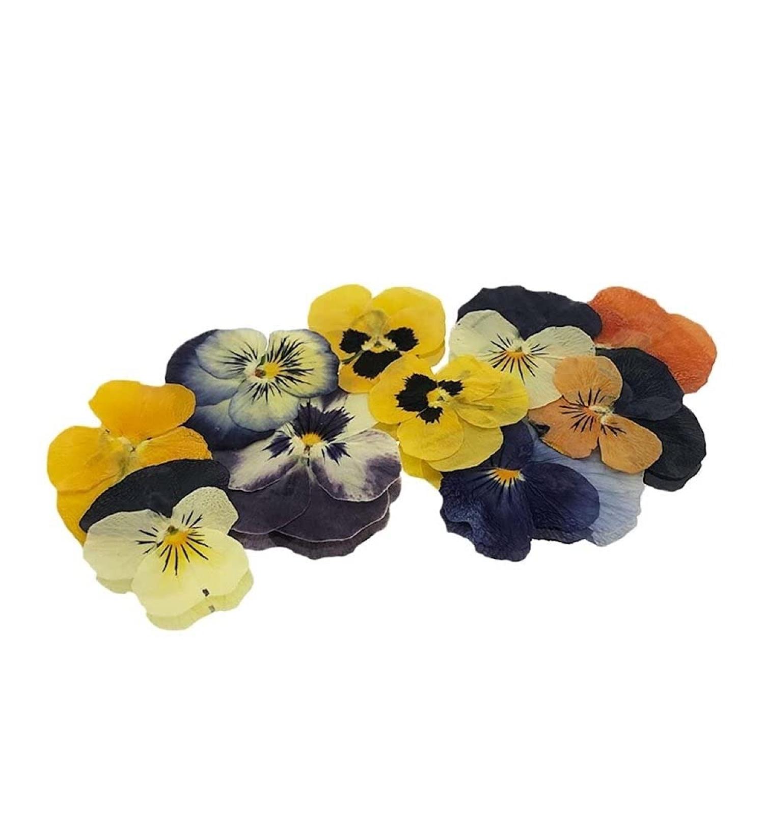 Pressed Violas Edible Flowers - Buy Online on GoSupps.com