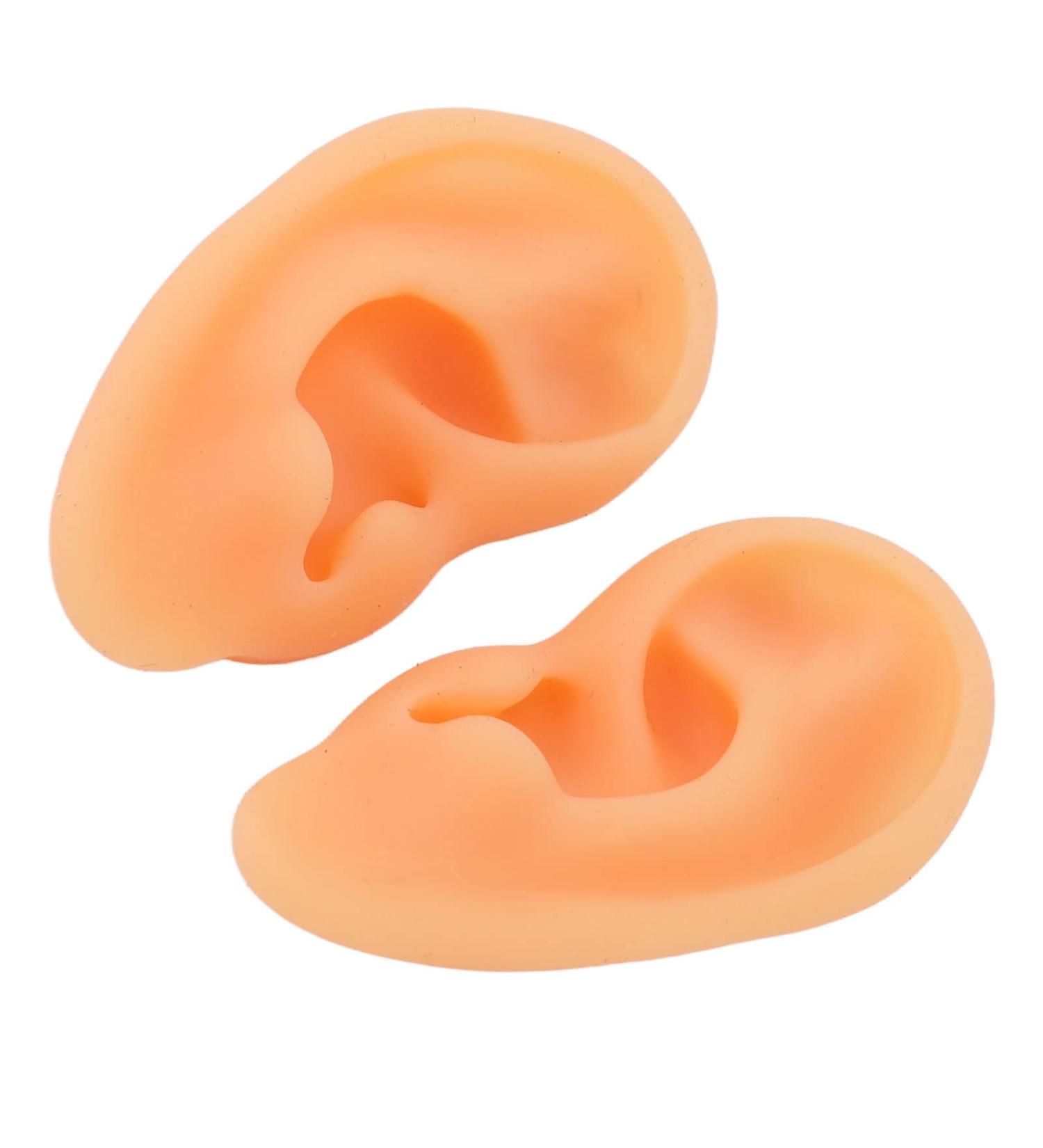 Soft Silicone Human Ear Model Set for Acupuncture Practice - 2 Pieces, Clear Structure - Ideal for Hospitals - Buy Online on GoSupps.com