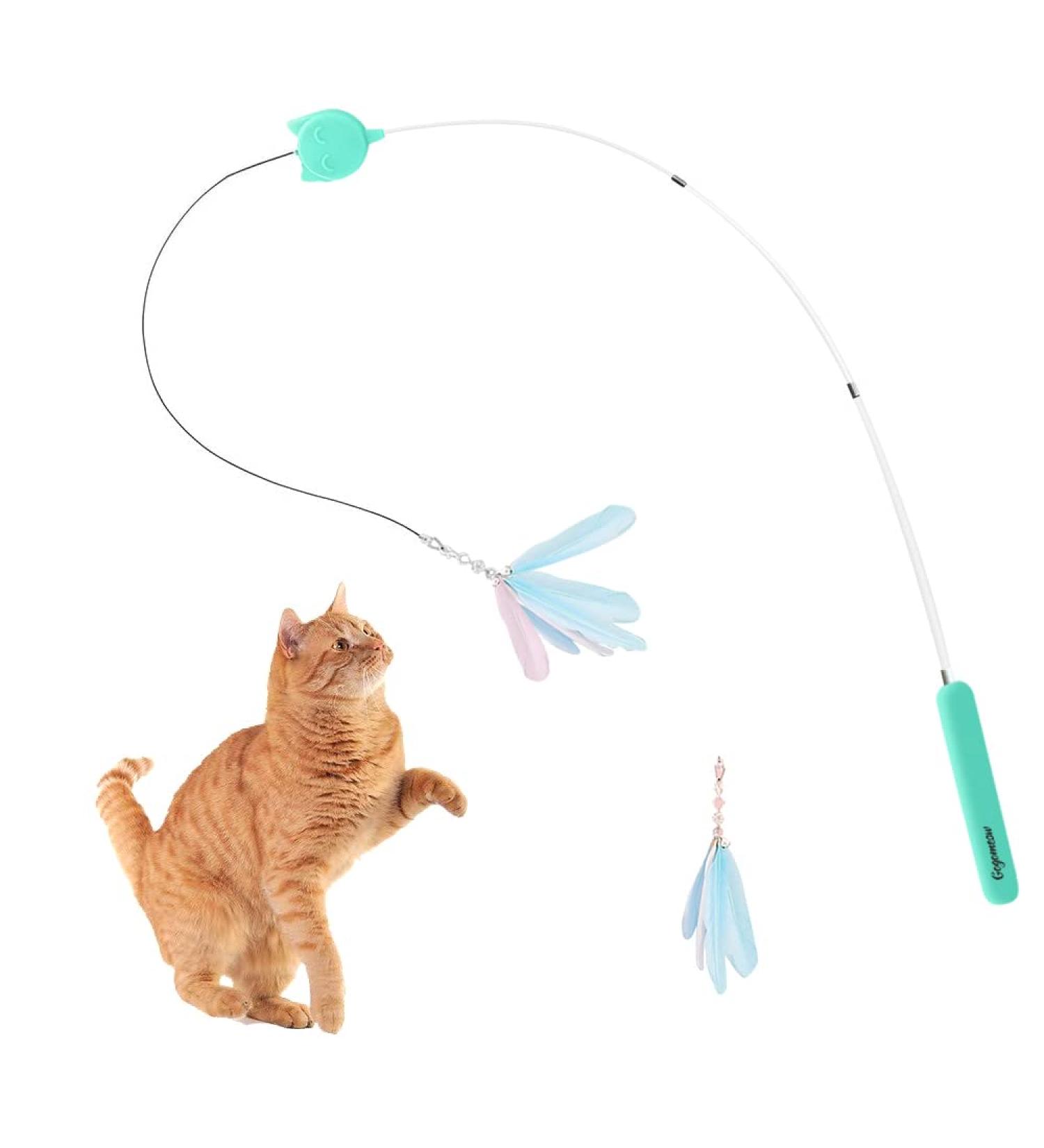 Interactive Cat Feather Toy with Retractable Teaser Wand - 2 Natural Feathers - For Indoor Cats and Kittens - Buy Online on GoSupps.com