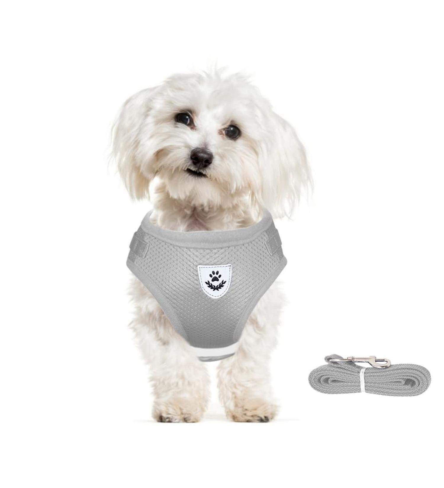 Buy Meioro Adjustable Dog Harness with Leash - Reflective Soft Padded Vest for Small & Medium Dogs (XS 26-29cm Gray) - Ideal for Puppies & Cats - Buy Online on GoSupps.com