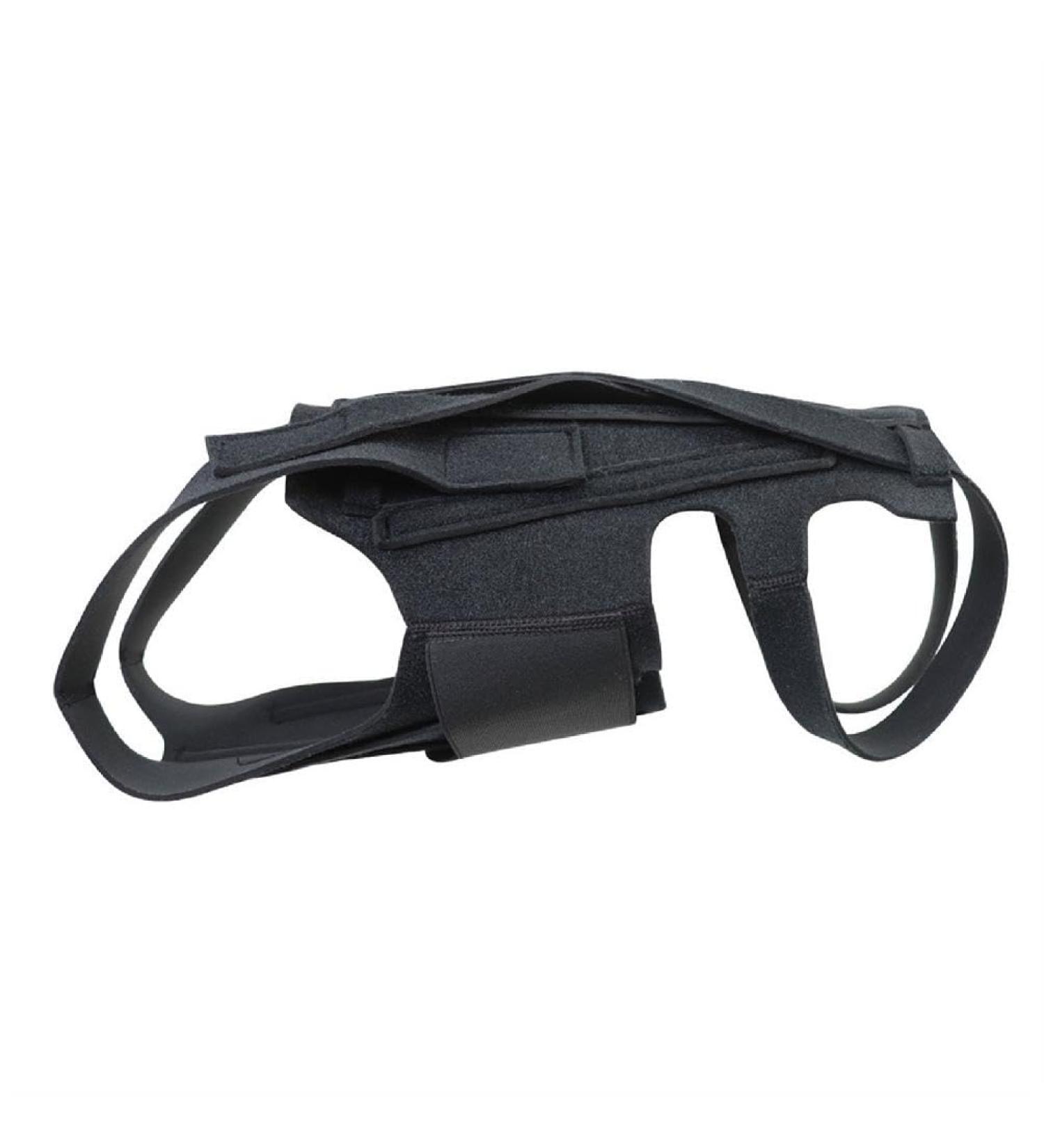Dog Back Support Ease Discomfort and Aid Healing Supporting Vest for Walking Supportive Dog Back Bracer No Pull Assist Dog Back Bracer Small - Buy Online on GoSupps.com