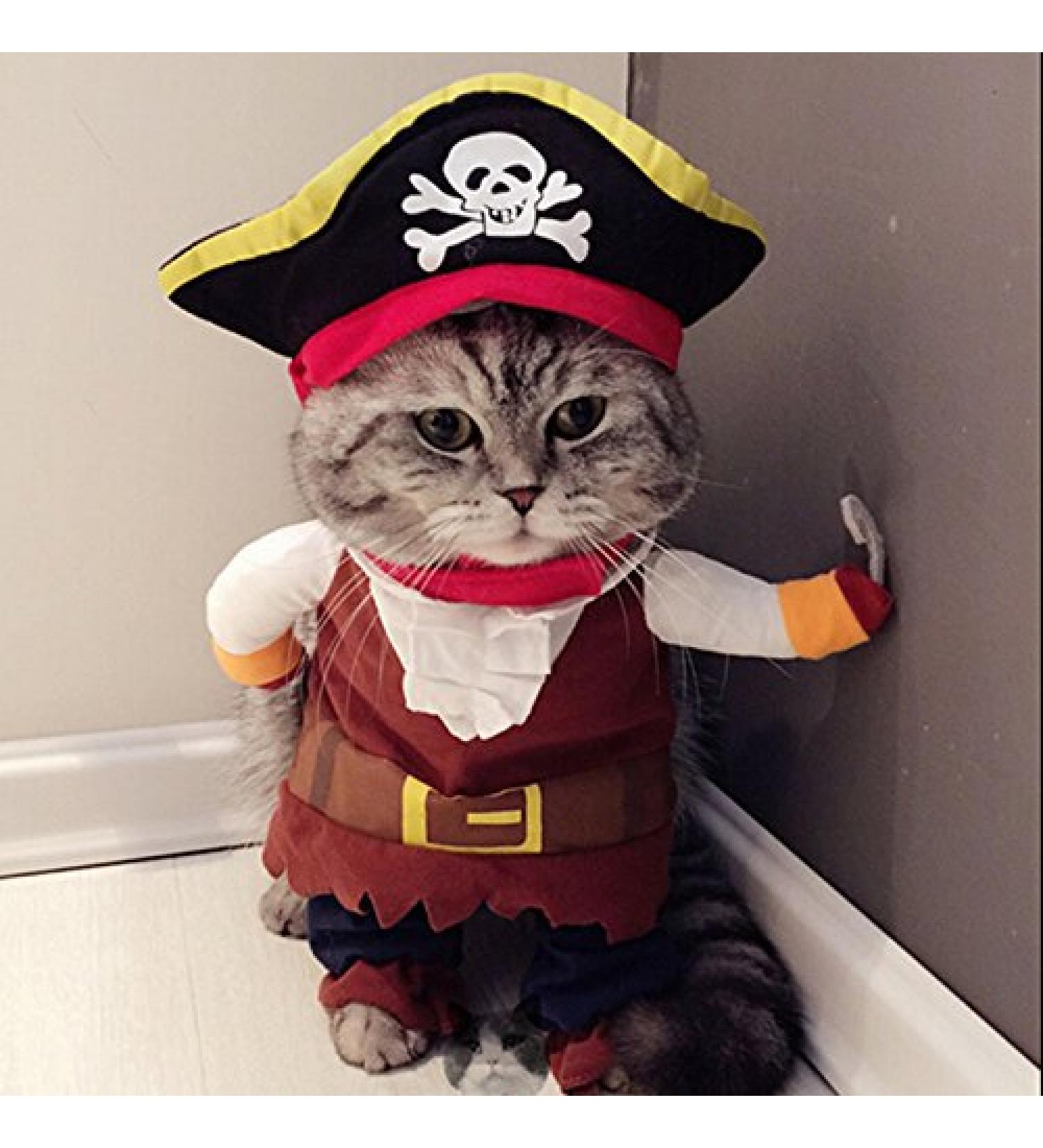 Idepet Caribbean Pirate Cat Costume & Hat - Funny Pet Clothes for Dressing up Parties (M) - Buy Online on GoSupps.com