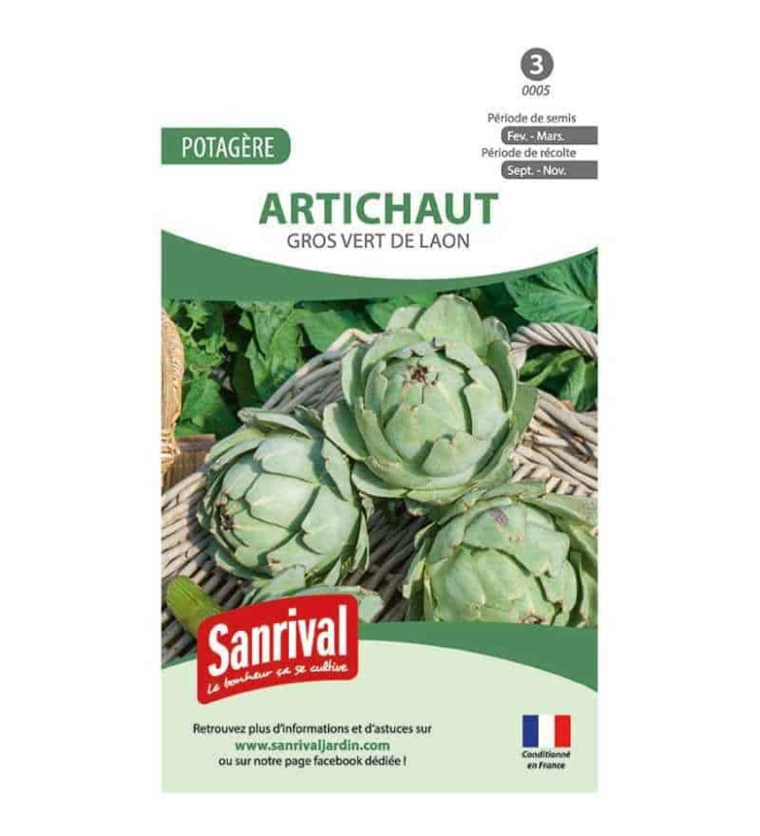 Big Green Artichoke Seeds from Laon