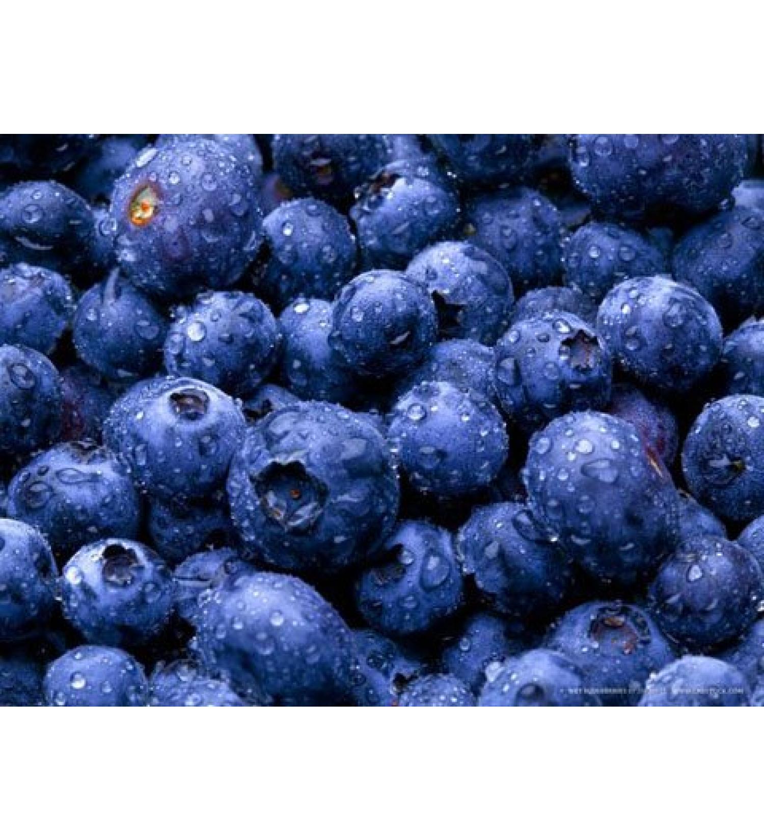 BLUEBERRIES FRESH PRODUCE FRUIT VEGETABLES PINT 10 OZ