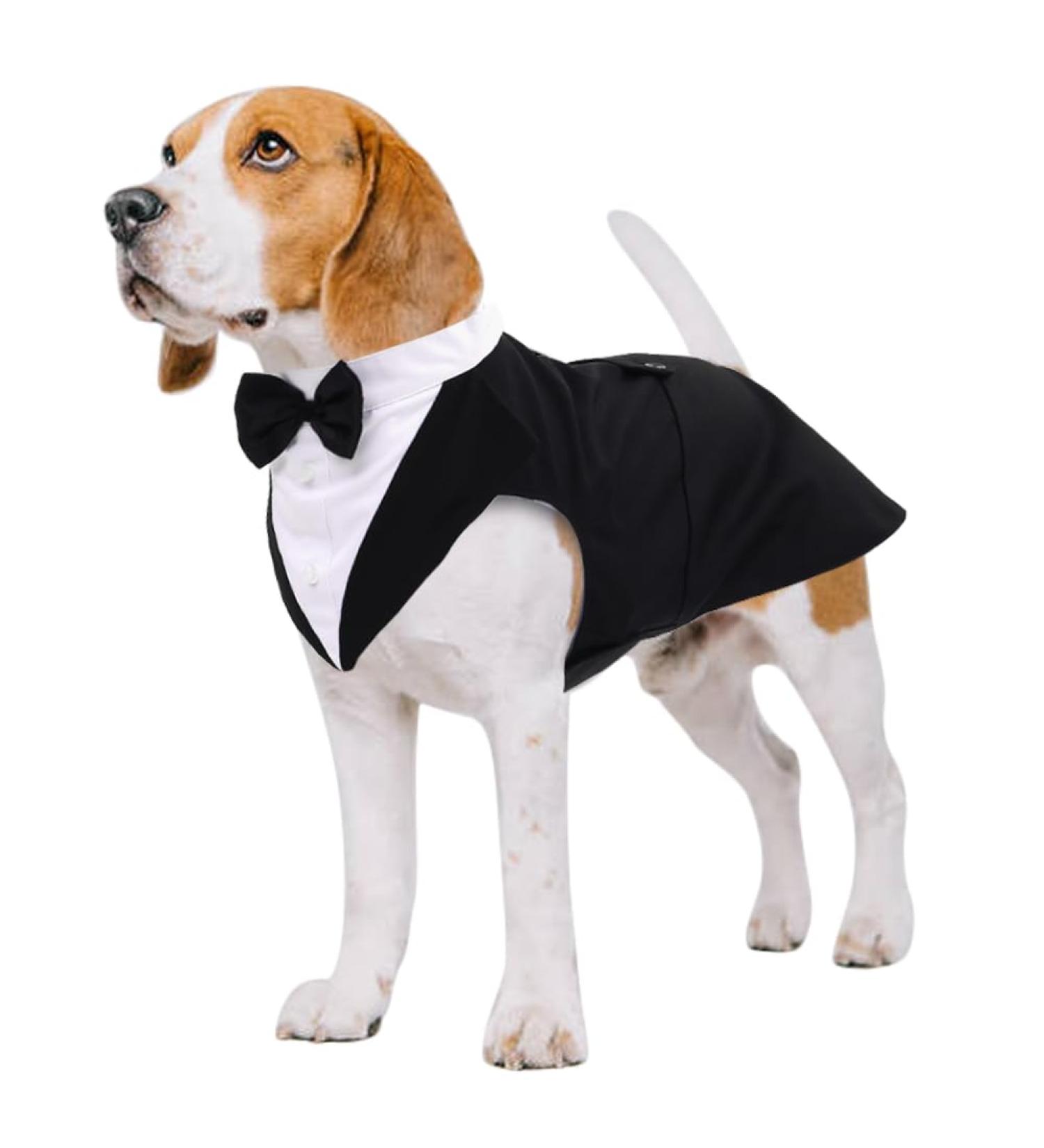 Kuoser Dog Smoking Suit & Bandana Set | Formal Pet Clothing for Weddings Halloween & Parties | S-XXL | Black | Stylish Comfortable Dog Outfit - Buy Online on GoSupps.com