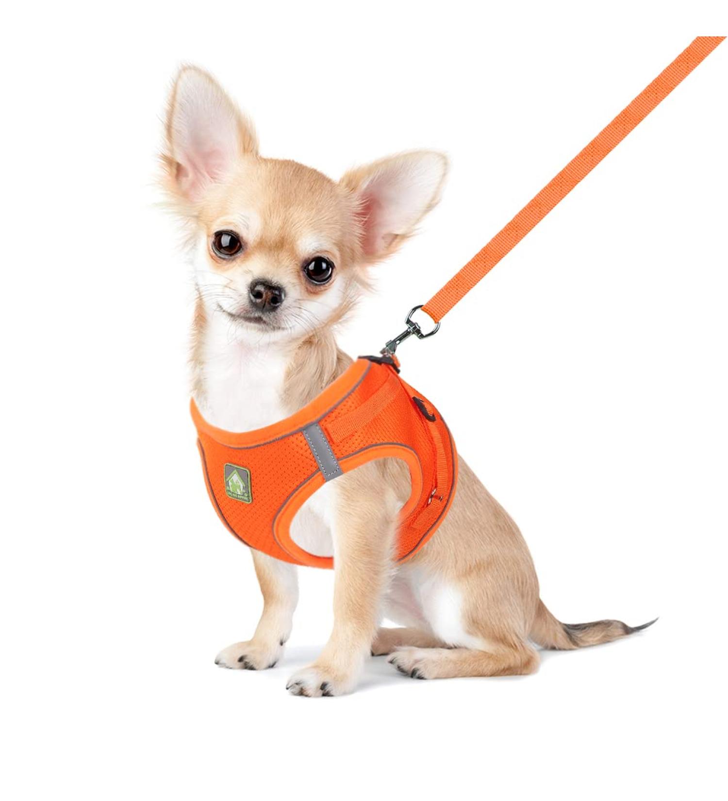 Femax Soft Mesh Dog Harness & Leash for Small/Medium Dogs & Cats - Adjustable Reflective No Pull Vest for Puppies - Orange (Chest 30-34cm) - Buy Online on GoSupps.com