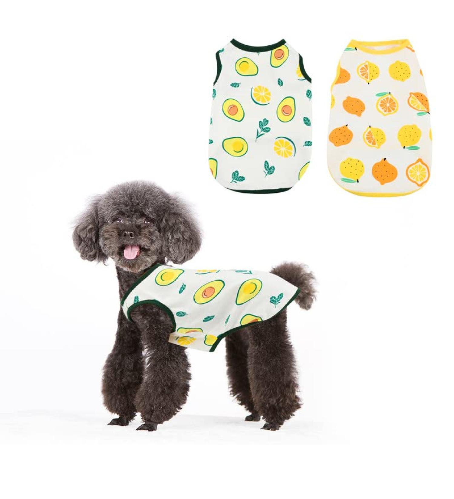 Buy 2-Piece Breathable Dog Shirts | Summer Pet Clothing with Fruit Patterns for Small & Medium Dogs & Cats - Buy Online on GoSupps.com