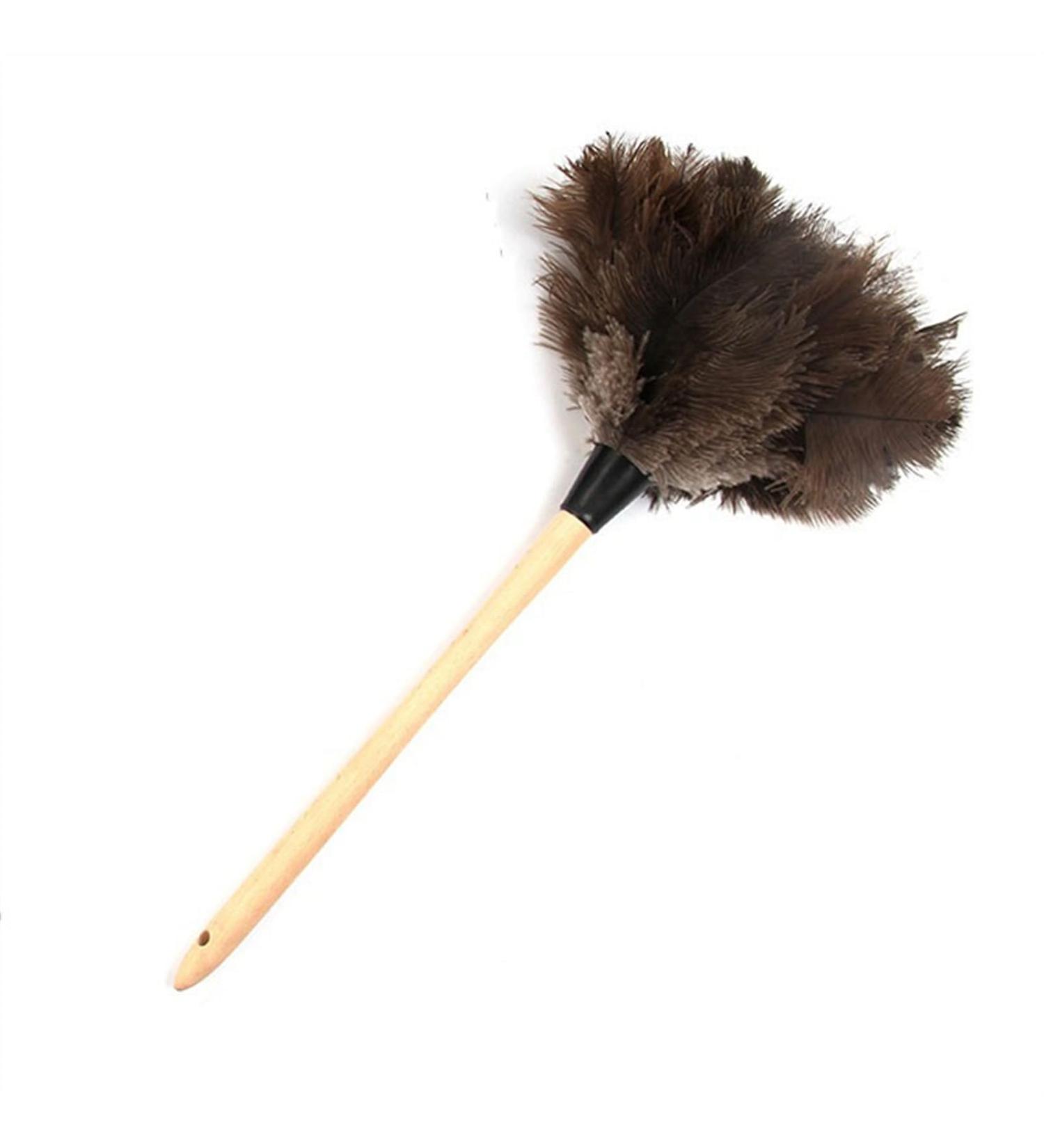 FCSHFC Ostrich Dusters for Cleaning Natural Home Reusable Feather Duster with Long Wooden Handle Anti-Static Dusting Duster for Computer Office Cars(45 * 32White) 45*32White - Buy Online on GoSupps.com