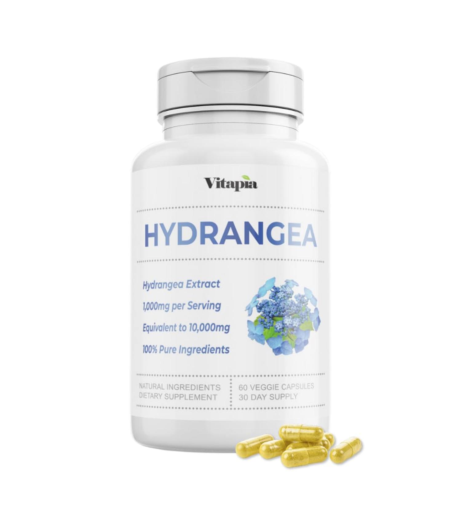 Organic Hydrangea Extract Capsules for Urinary Tract Kidney Antioxidant Metabolism Skin Health Support - 10:1 Ratio & 60 Veggie Capsules - Non-GMO Gluten-Free Vegan 60 Count (Pack of 1) - Buy Online on GoSupps.com