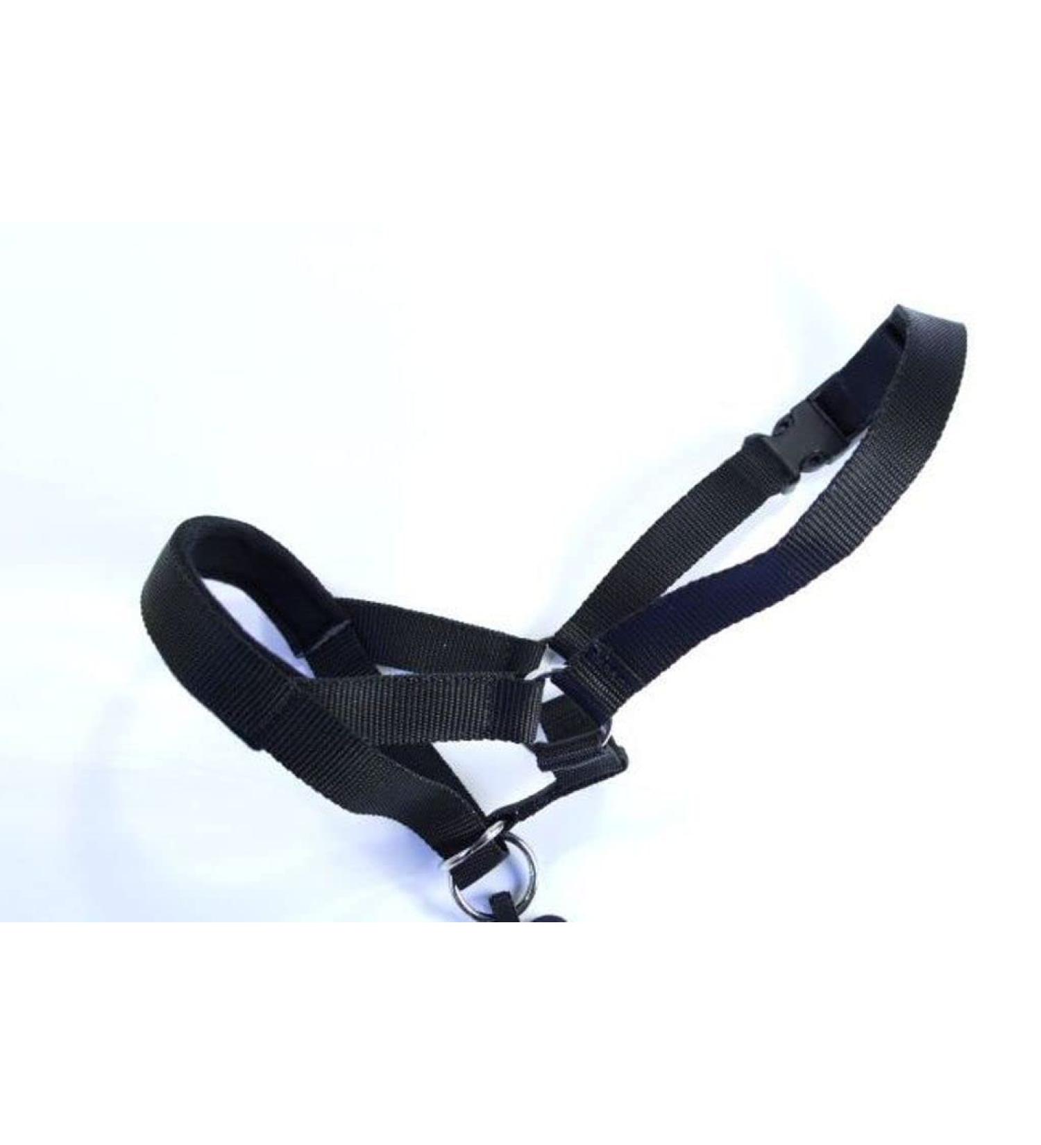 Champion Anti-Pull Training Halter for Dogs - Padded Black No More Pulling | International Shipping - Buy Online on GoSupps.com