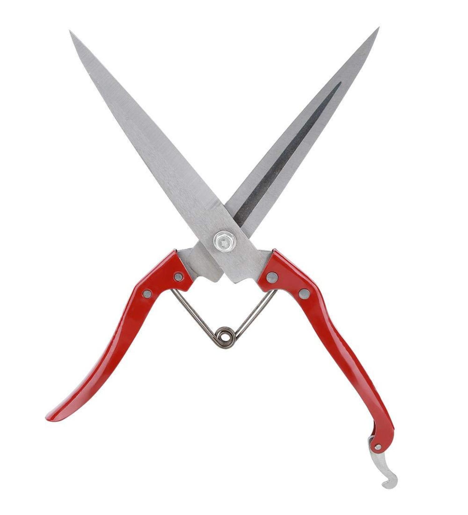 Multifunctional Stainless Steel Sheep Shears & Garden Scissors - 30cm Needle-Nose Plant Rose Vineyards & Florist Scissors - Buy Online on GoSupps.com