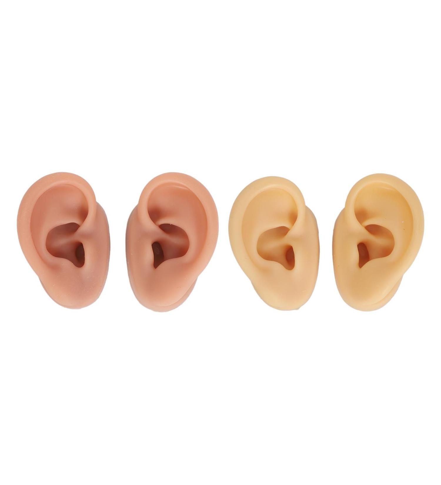 Pomya Left Right Silicone Ear Model Flexible Simulation Silicone Ear Model 2 Pair 3D for Practice (Dark Skin Color and Skin Color) - Buy Online on GoSupps.com