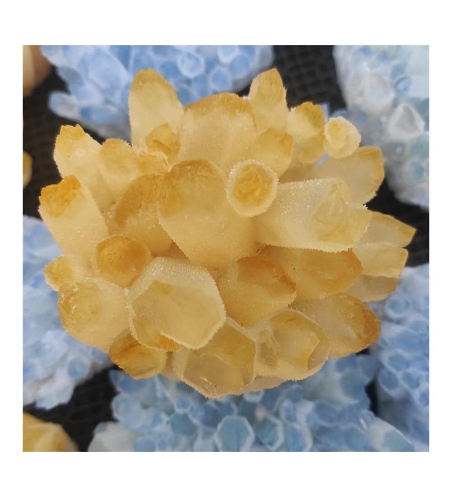 Crystal Rough 1pcs300-700g Big Size Natural Citrine Quartz Geode Druzy Topaz Crystal Cluster Specimen Home Decoration DIY Crafts Feng (Size : 400-500g) - Buy Online on GoSupps.com