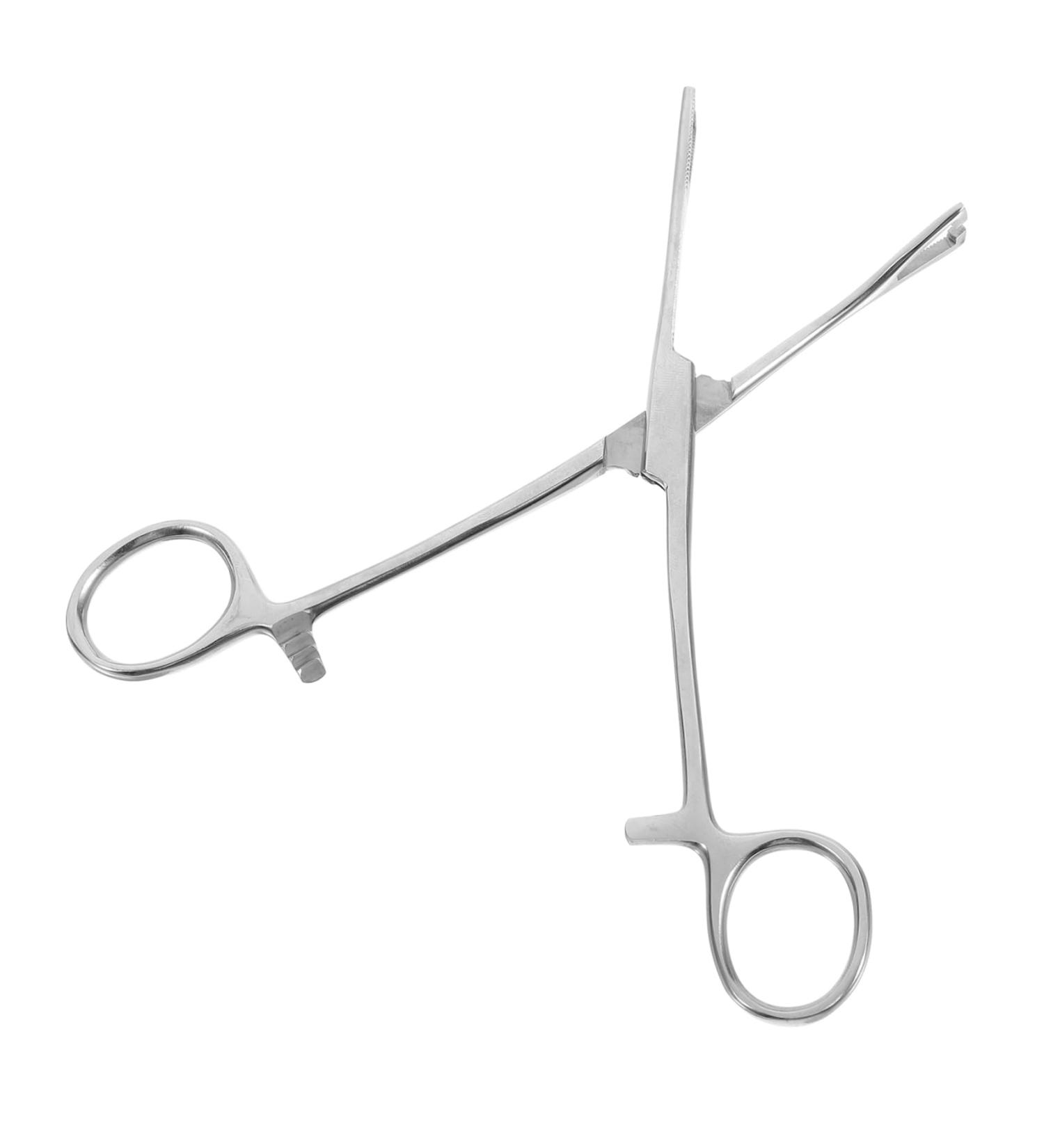 Parliky Reptile Feeding Clip Reptile Supplies Reptile Catching Stainless Steel Silver - Buy Online on GoSupps.com