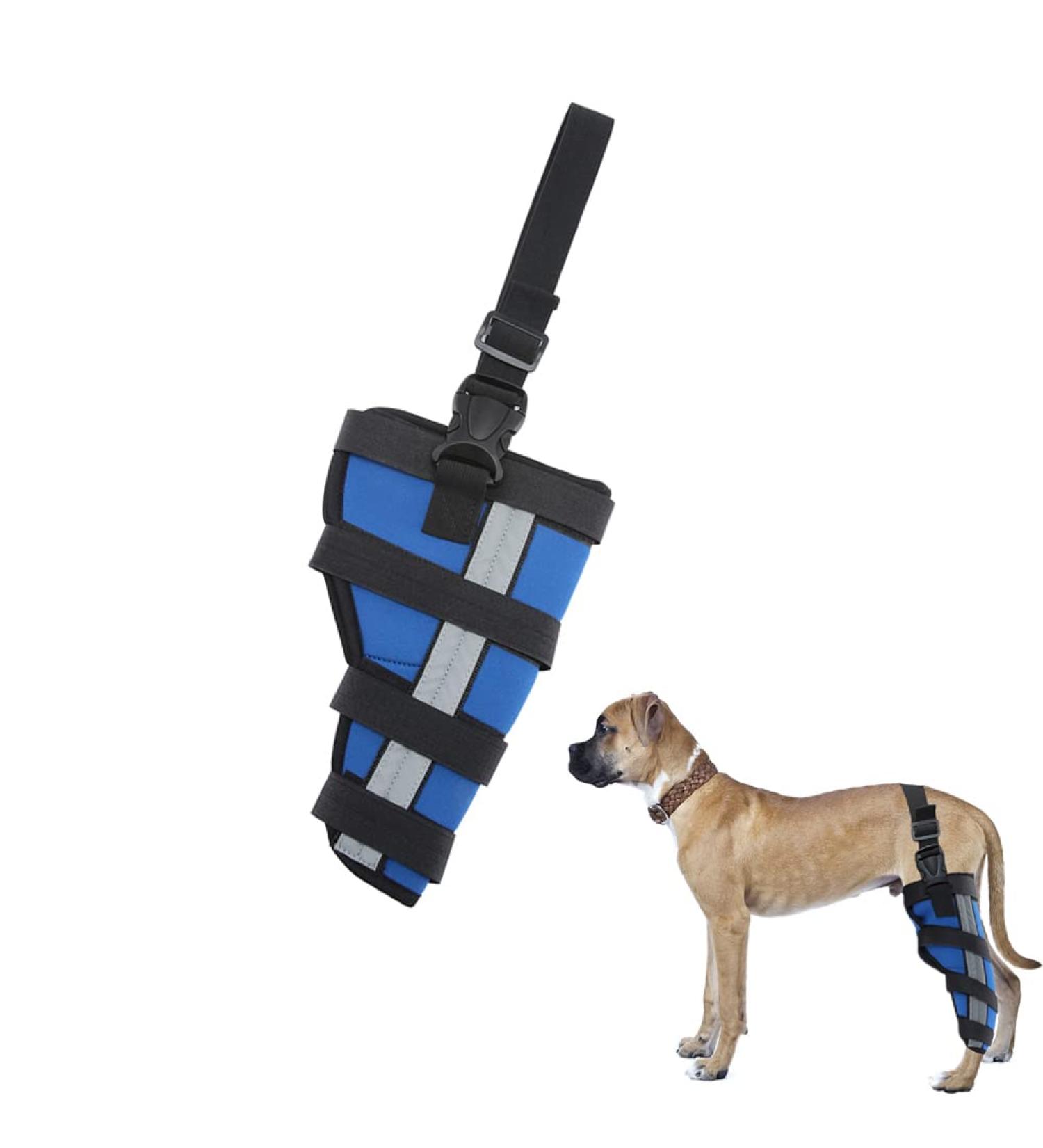 Dog Back Leg Support Dog Elbow Knee Brace Help Help Dog Keep The Joint Stable Pet Dog Hind Legs Protector|Blue (Right Leg M) right leg M - Buy Online on GoSupps.com