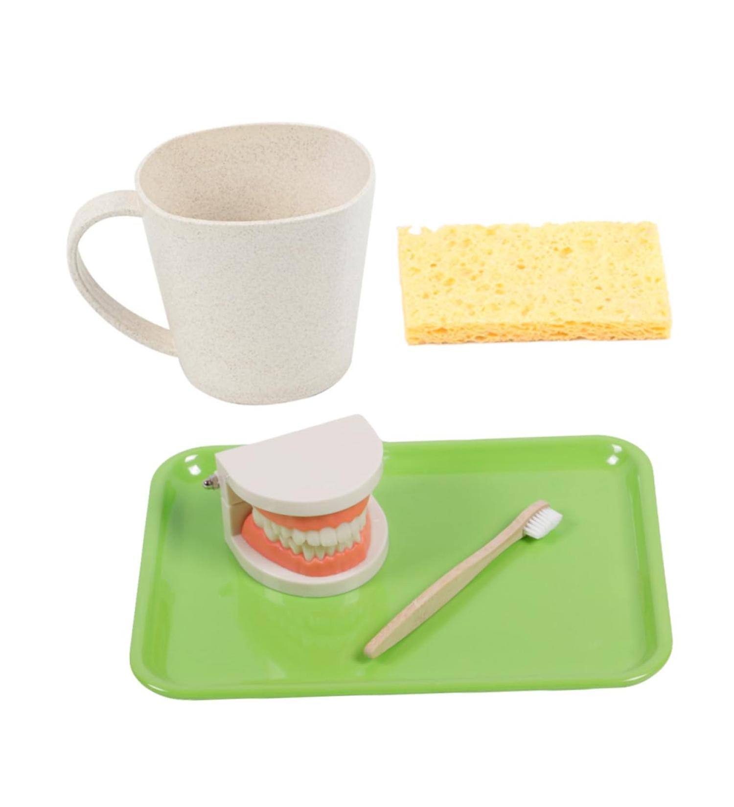 Minkissy Educational Tooth Model Set for Kids | Early Dental Hygiene Teaching Toy | Reusable ABS Prosthesis & Dentures Model - Buy Online on GoSupps.com