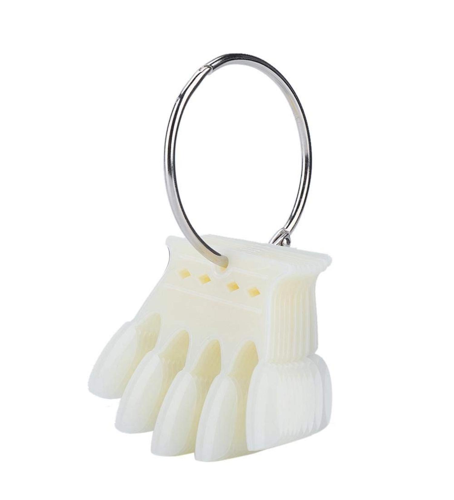 Plastic Nail Art Accessories - 2 Kinds Nail Color Card for Professional Nail Salon | Practice Skills in Natural Colors - Buy Online on GoSupps.com