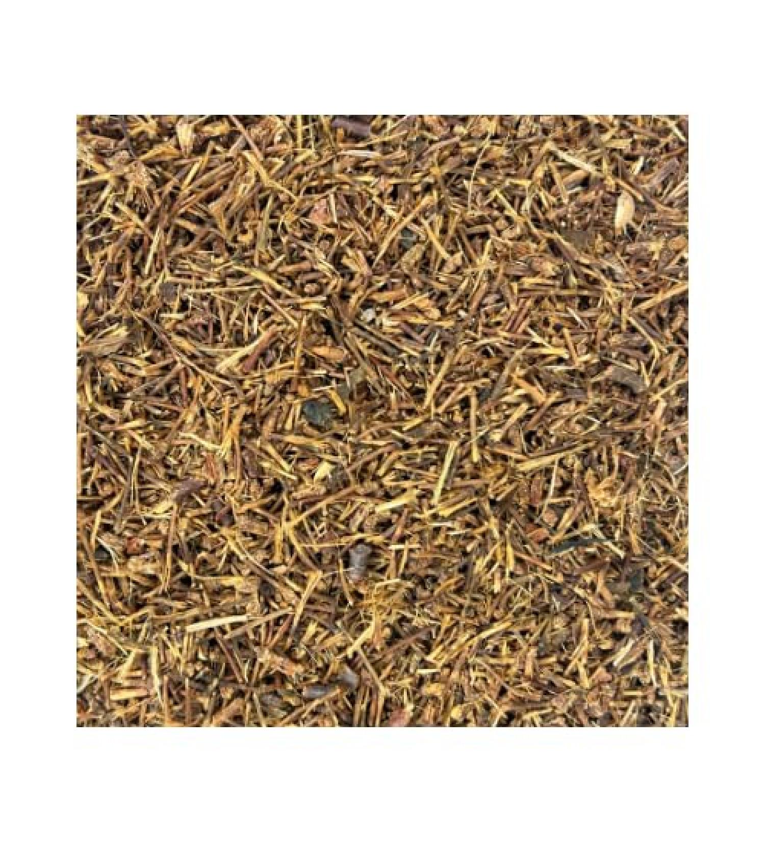 Cherry Stems C/S (1 LB) - Buy Online on GoSupps.com