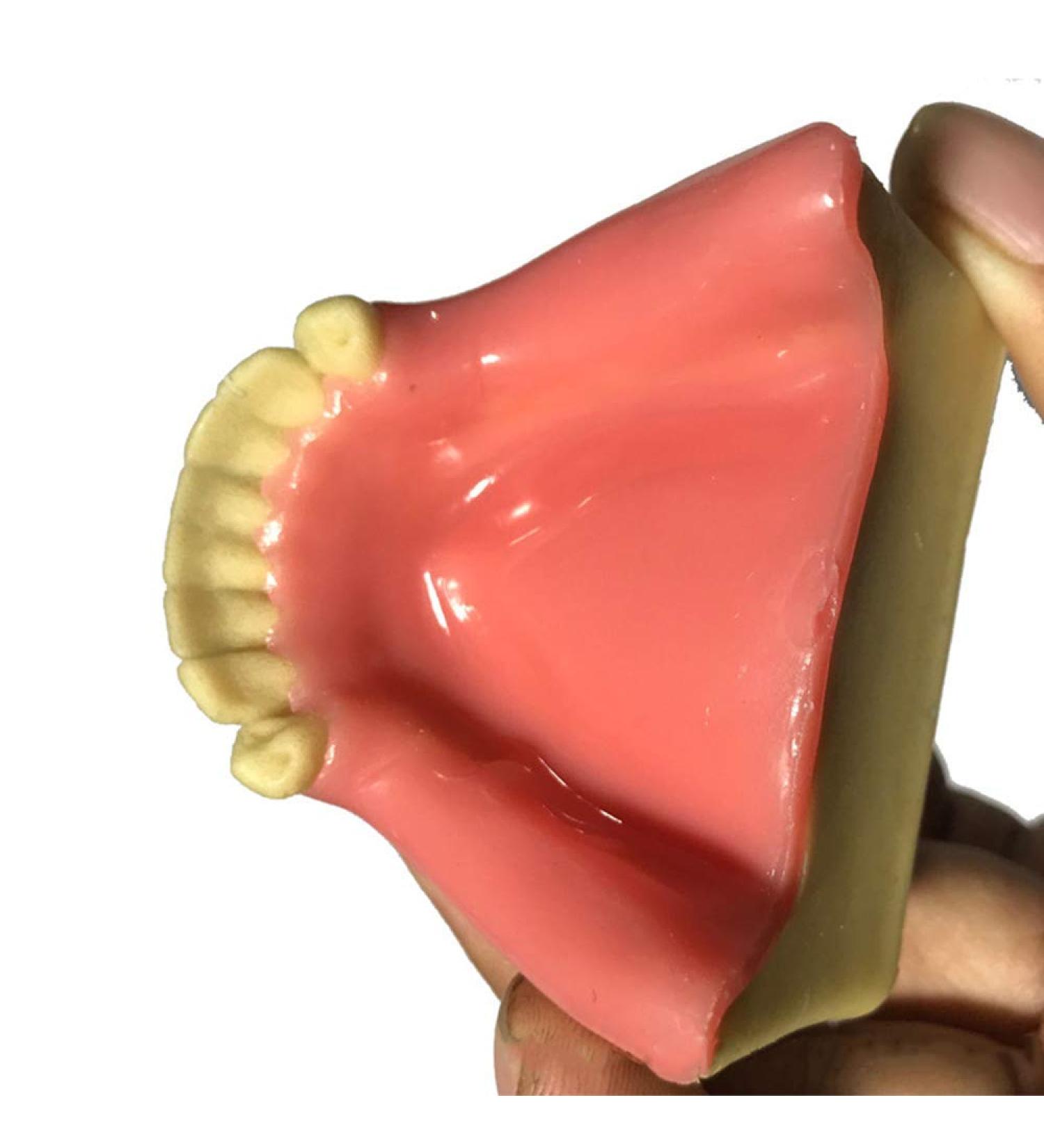 DYTAH Dental Implant Teeth Model - Lower Jaw 6 Teeth for Dental Students | Soft Gum Teeth Teaching Aid - Buy Online on GoSupps.com