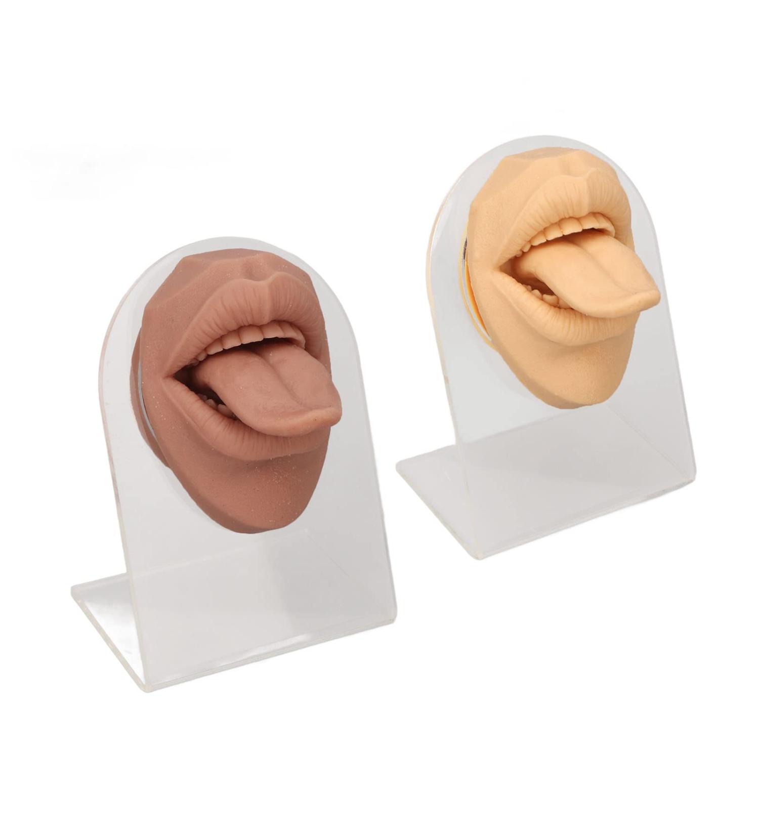 2pcs Silicone Tongue Mouth Model for Drilling Practice | 3D Simulated Tongue with Acrylic Stand - Perfect for Professionals - Buy Online on GoSupps.com