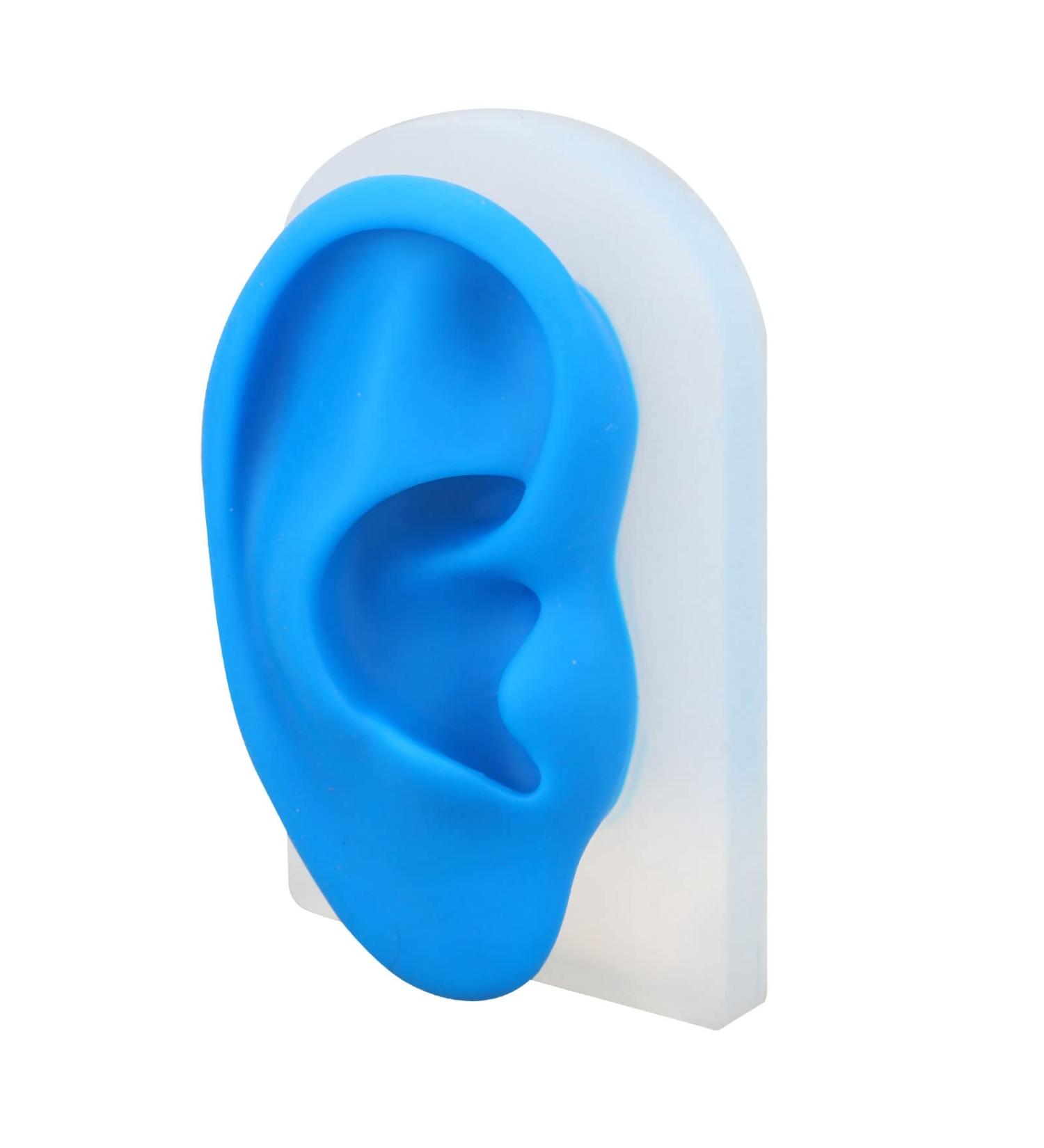 Silicone Ear Acupuncture Practice Model for Hearing Aid Display - Blue - Buy Online on GoSupps.com
