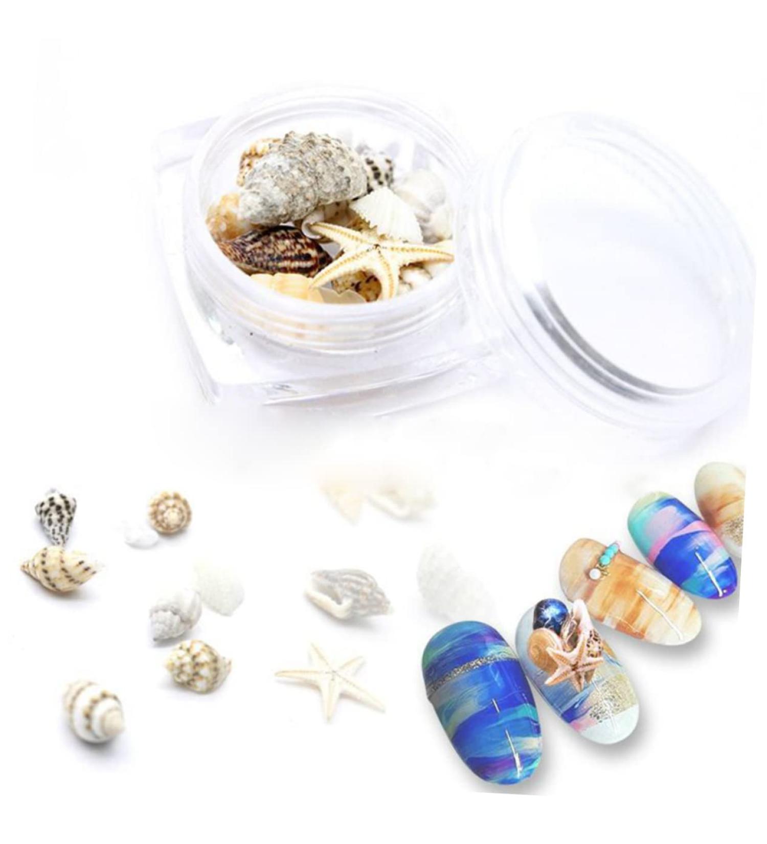 minkissy 1 Box Conch Jewelry Nail Art Decoration Nail Decorations for Nail Art Shell Decor Nail Jewelry Conch Shells Nail Decoration Nail Ornament Nail Stickers 3d False Nails - Buy Online on GoSupps.com