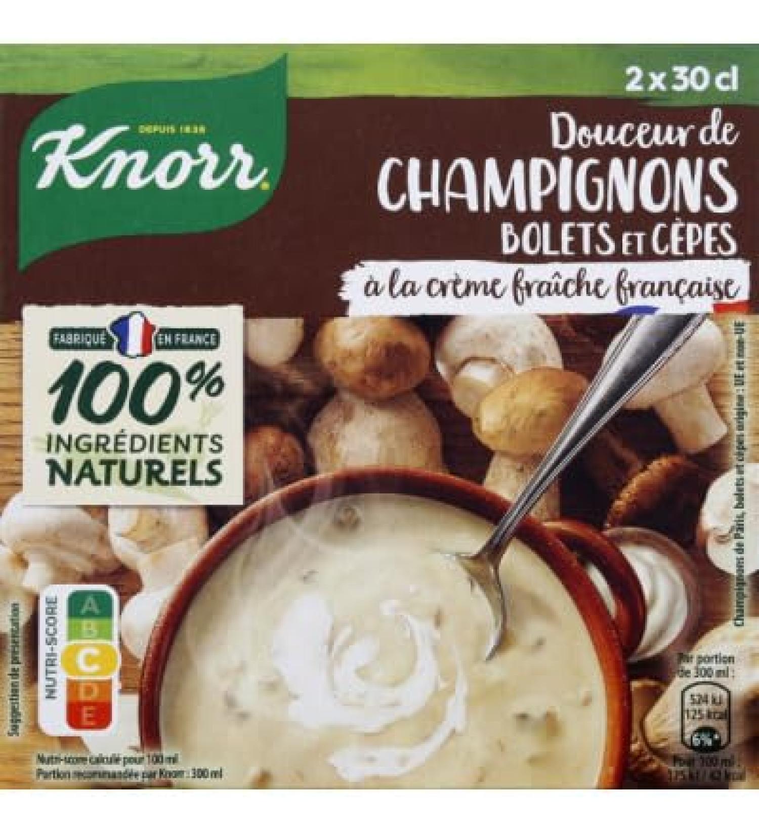 Knorr Sweetness of boletus and cep mushrooms - 2 bricks of 300mL