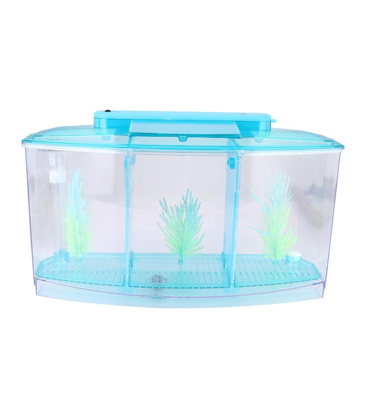 Aquarium Fish Tank Transparent Aquarium Fish Tank LED Acrylic Three Divisions Breeding Isolation Box for Small Fishes Mini Breeding Fish Tank (Blue) - Buy Online on GoSupps.com