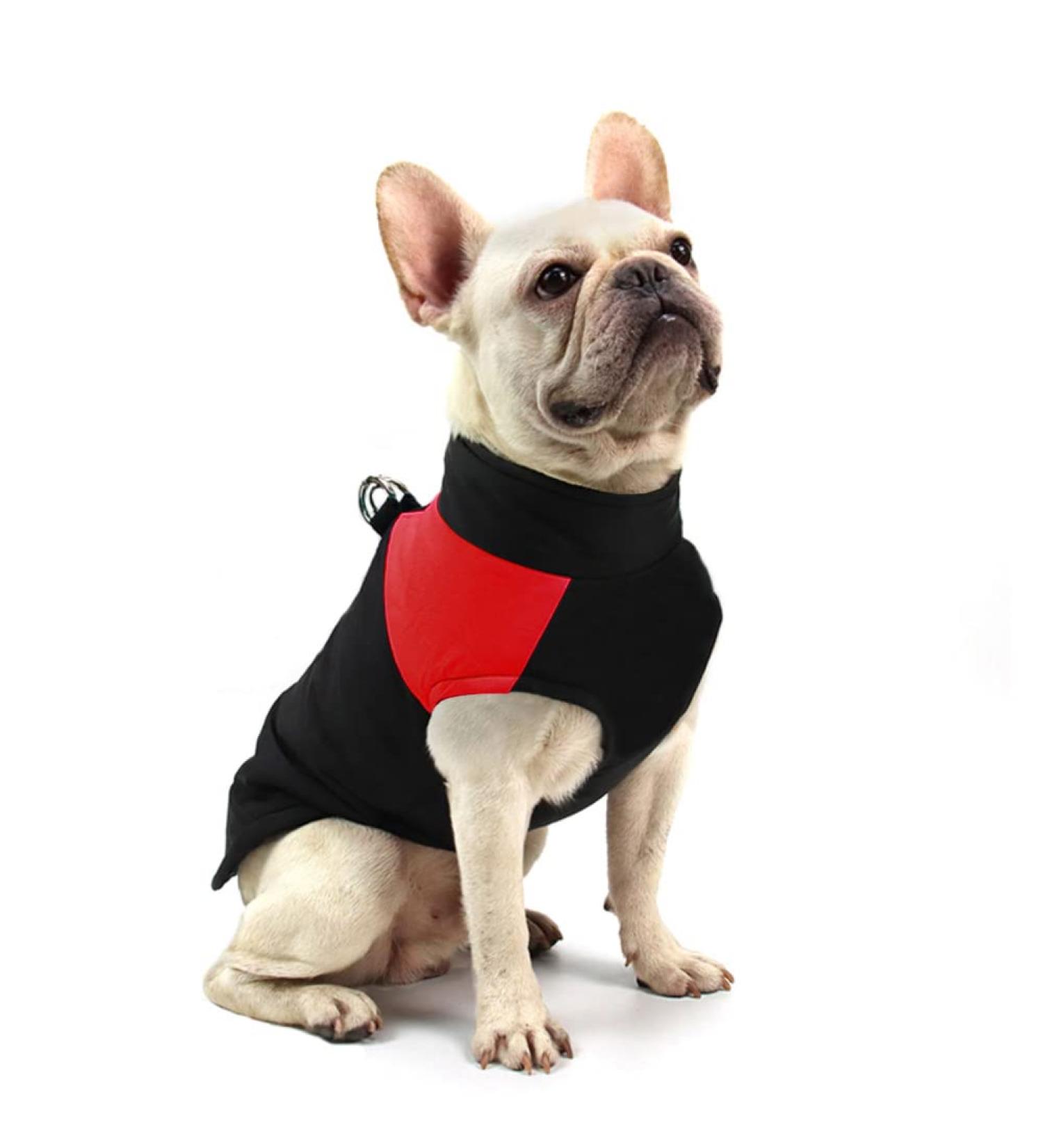 Buy Femax Waterproof Dog Coat Warm Winter Jacket for Small to Large Dogs | Red 4XL Perfect for Cold Weather - Buy Online on GoSupps.com