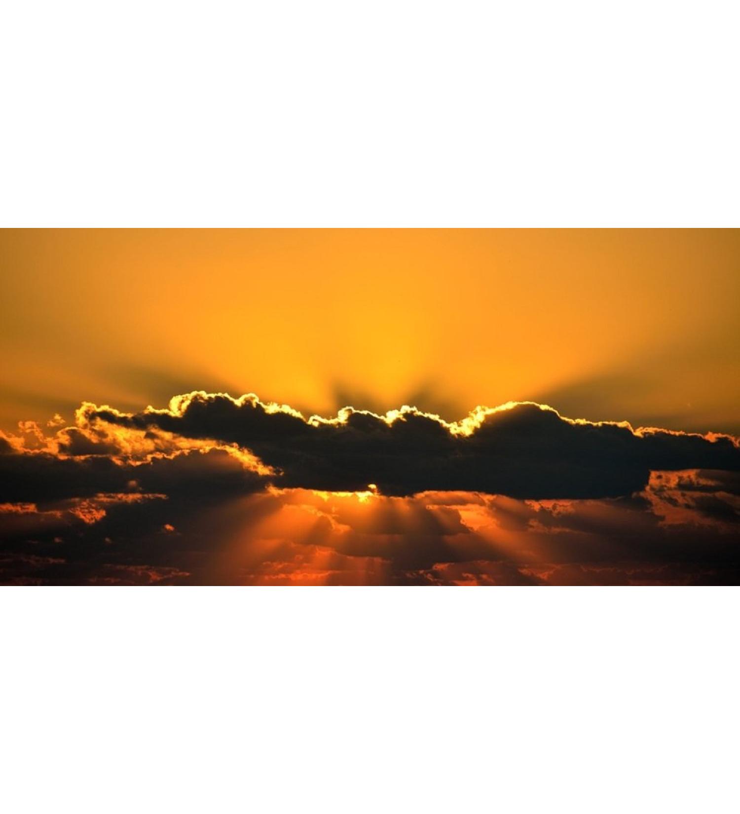 Men's Sweet Ambrosia Scented Pheromone Oil (Roll On Bottle) - Buy Online on GoSupps.com