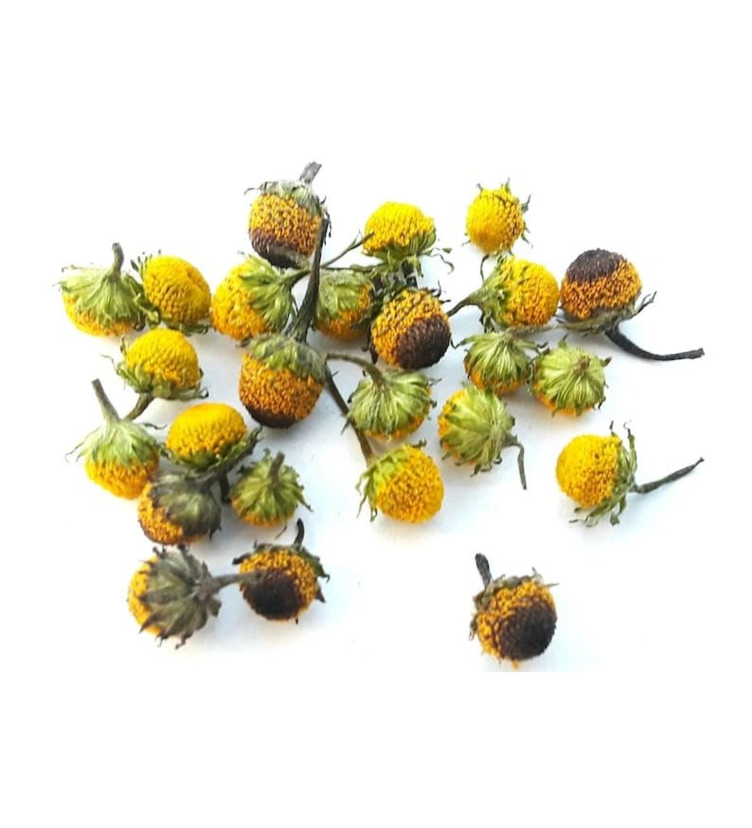50pcs / Dried Edible Mixed Flower Buzz Buttons. Individual Dried Flowers