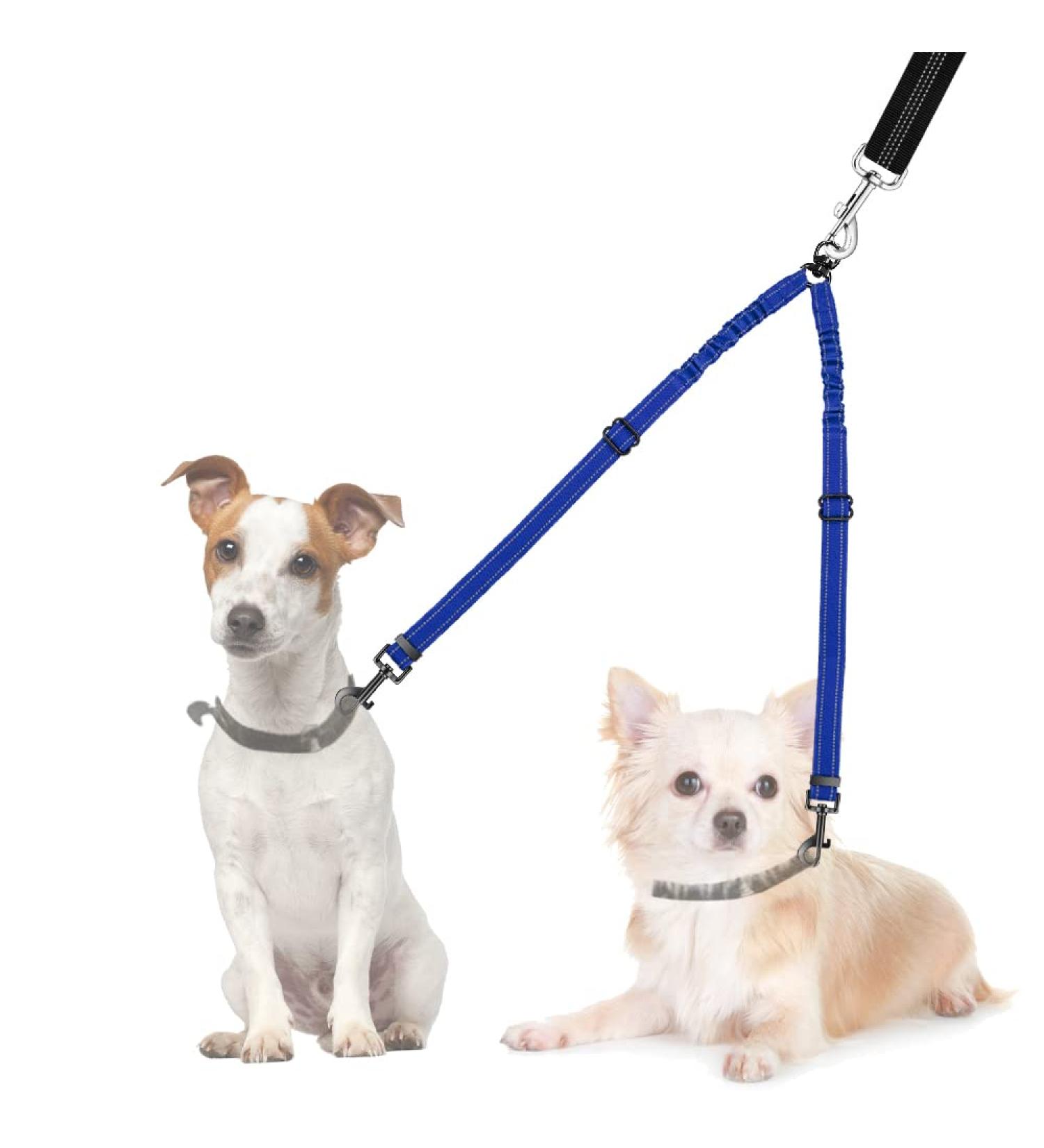 Nasjac Double Dog Leash - No Tangling 360 Rotatable Adjustable Bungee Leash for Small Medium & Large Dogs - Light Blue Perfect for Running & Training - Buy Online on GoSupps.com