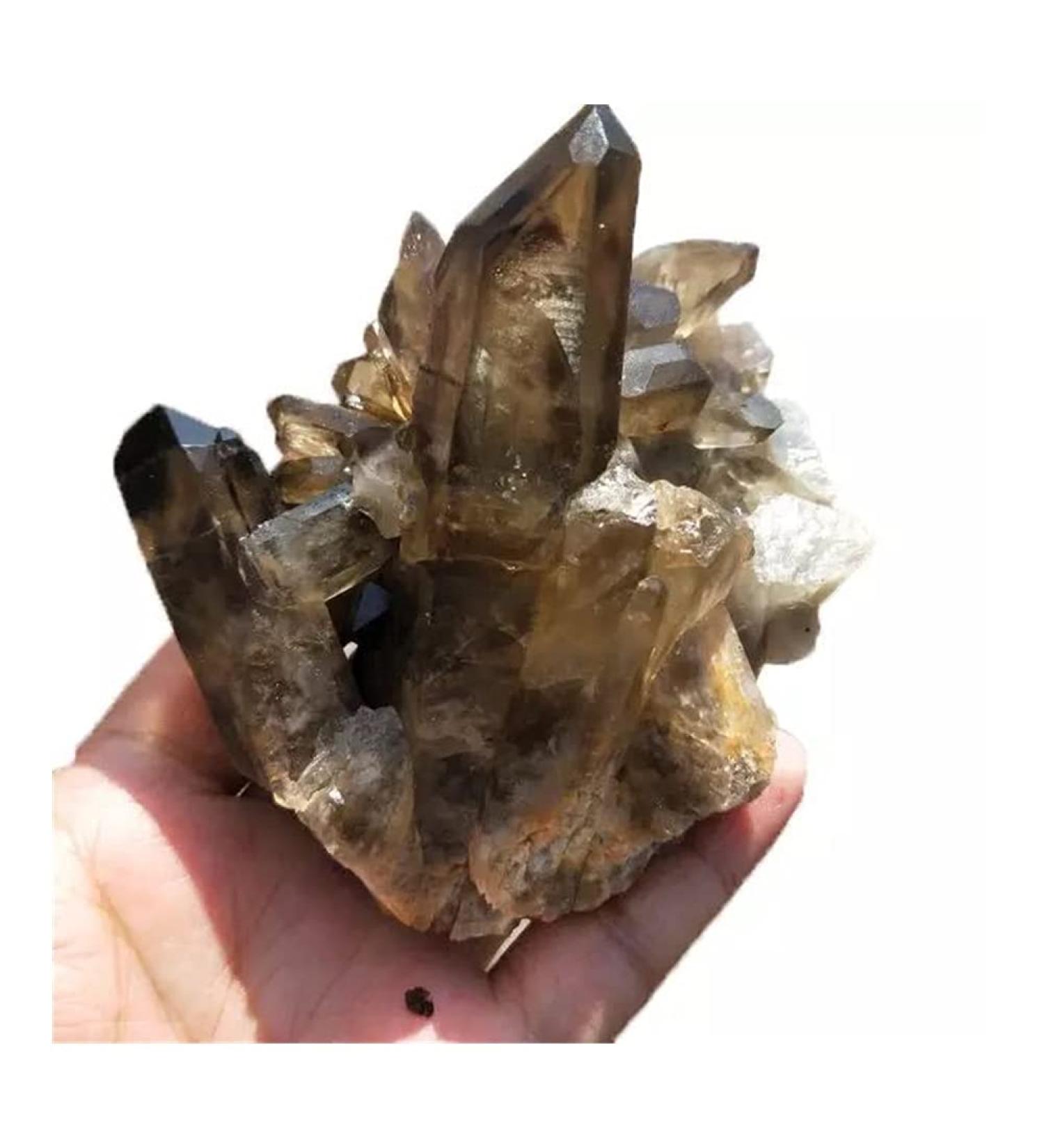 Natural Rough Smoky Quartz Crystal Cluster Specime Beautiful Crystal Cluster (Size : 1pc 760G-850G) - Buy Online on GoSupps.com