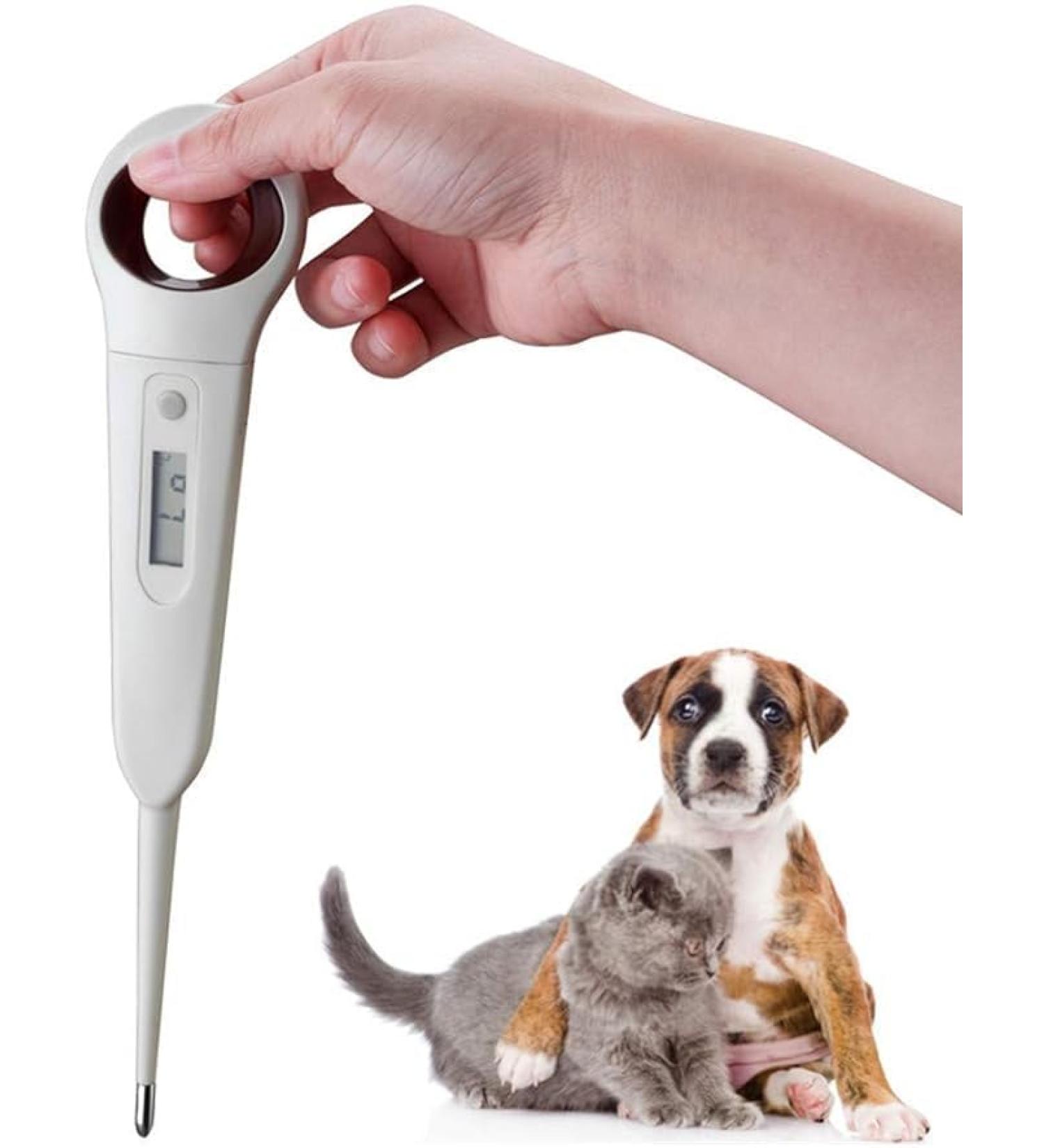 thumbnail image 2 of Best Dog Ear Thermometer For Quick, Accurate Fever Readings - Amy's Pet Nutrition Center 2 of 13