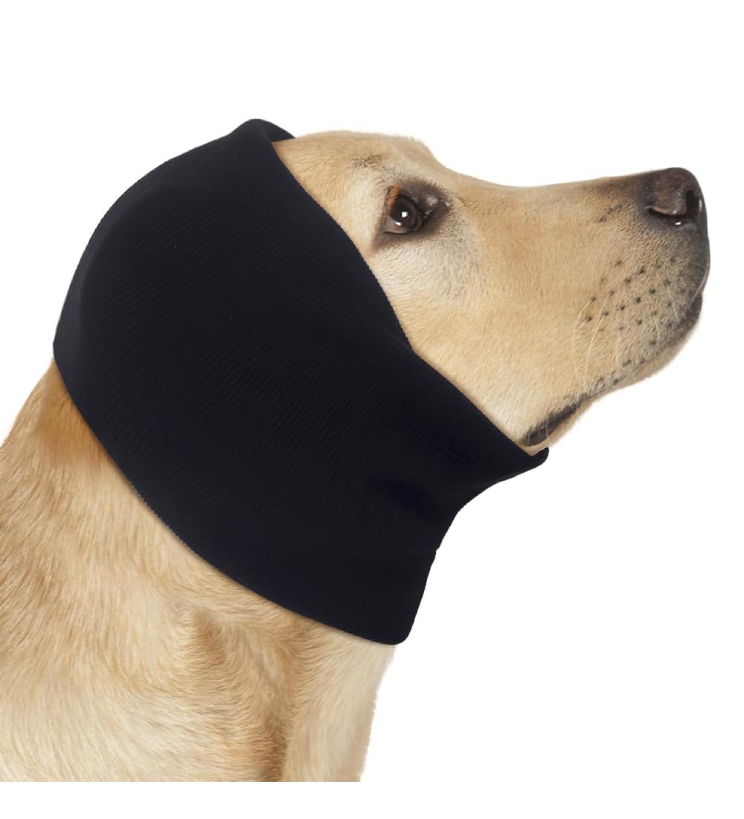 Comfortable Noise Protection Ear Muffs for Dogs & Cats | Earmuffs for Earmematomas Winter Hat Ear Care (Black) - Buy Online on GoSupps.com