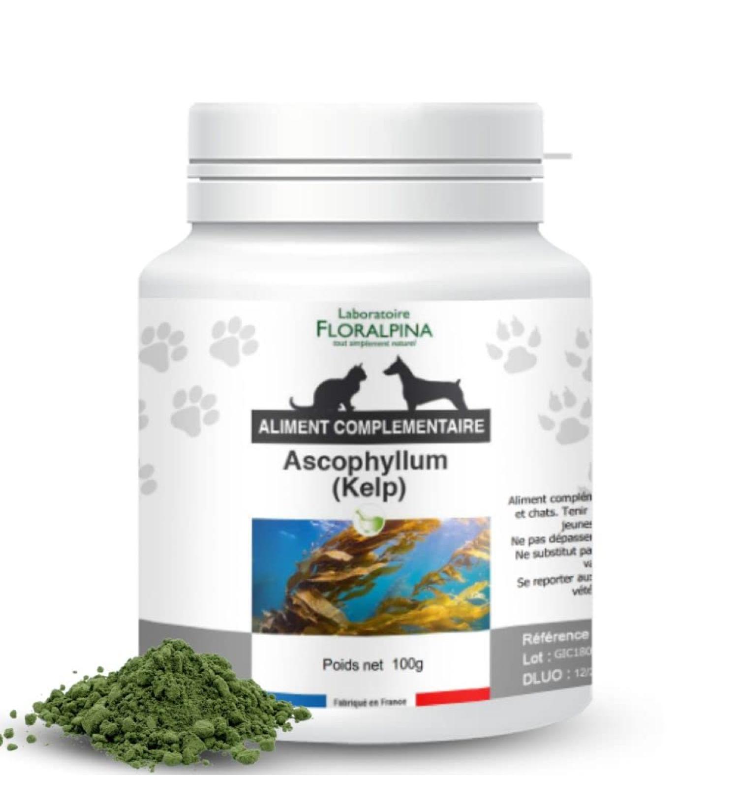  Floralpina Kelp powder 100 g for dogs and cats - Buy Online on GoSupps.com