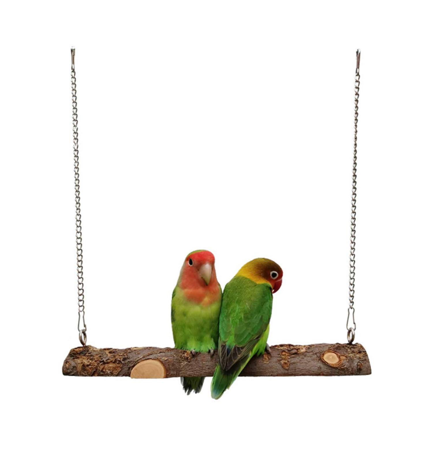Nynelly Bird Swing for Pets - Natural Wood Parrot Cage Toy for Canaries & Small Birds - Buy Online on GoSupps.com