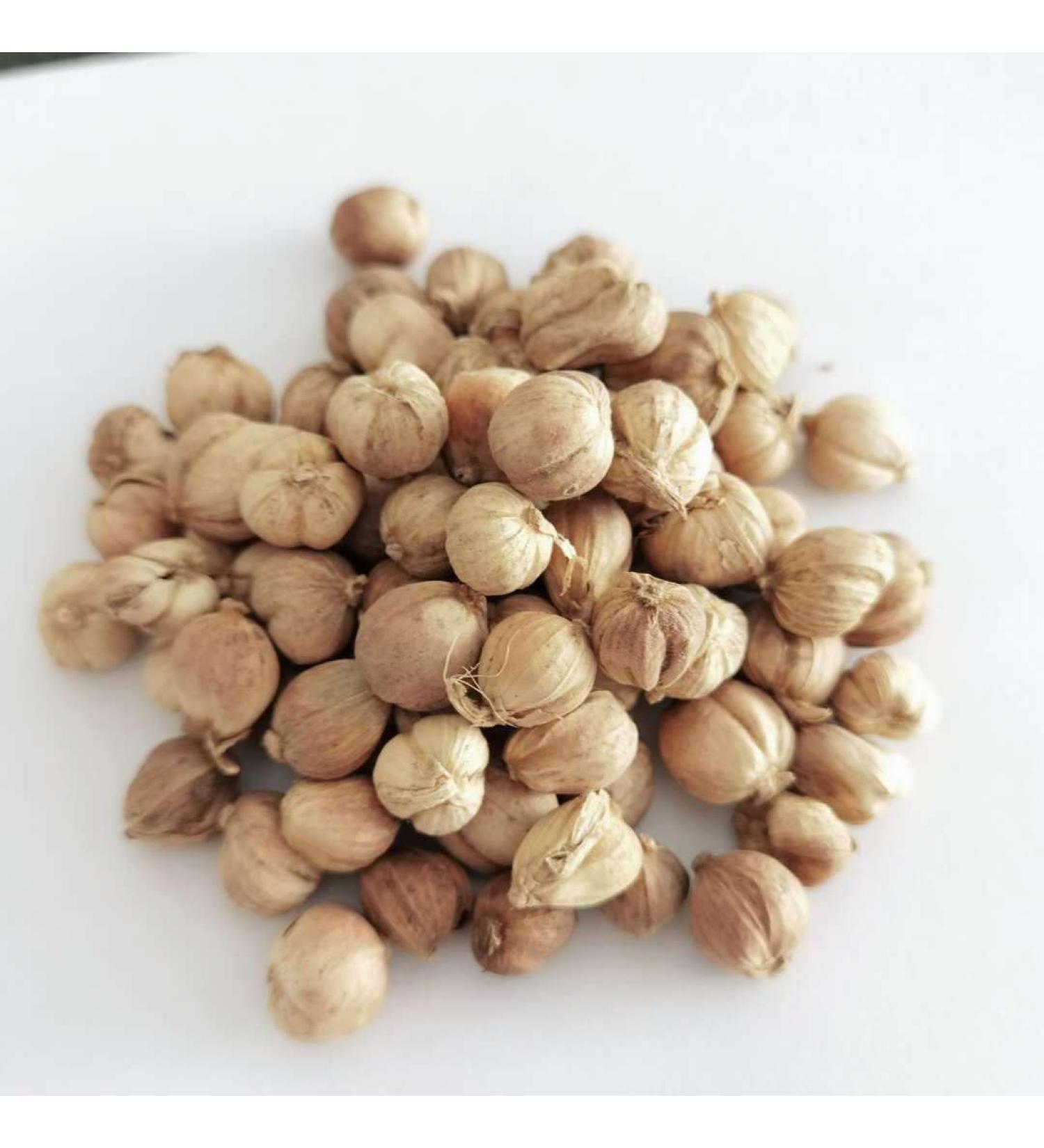 Zercumm White Cardamom 500H White Cardamom Cardamom Spice Hotpot Condiment Stew Ingredients Seasoning - Buy Online on GoSupps.com